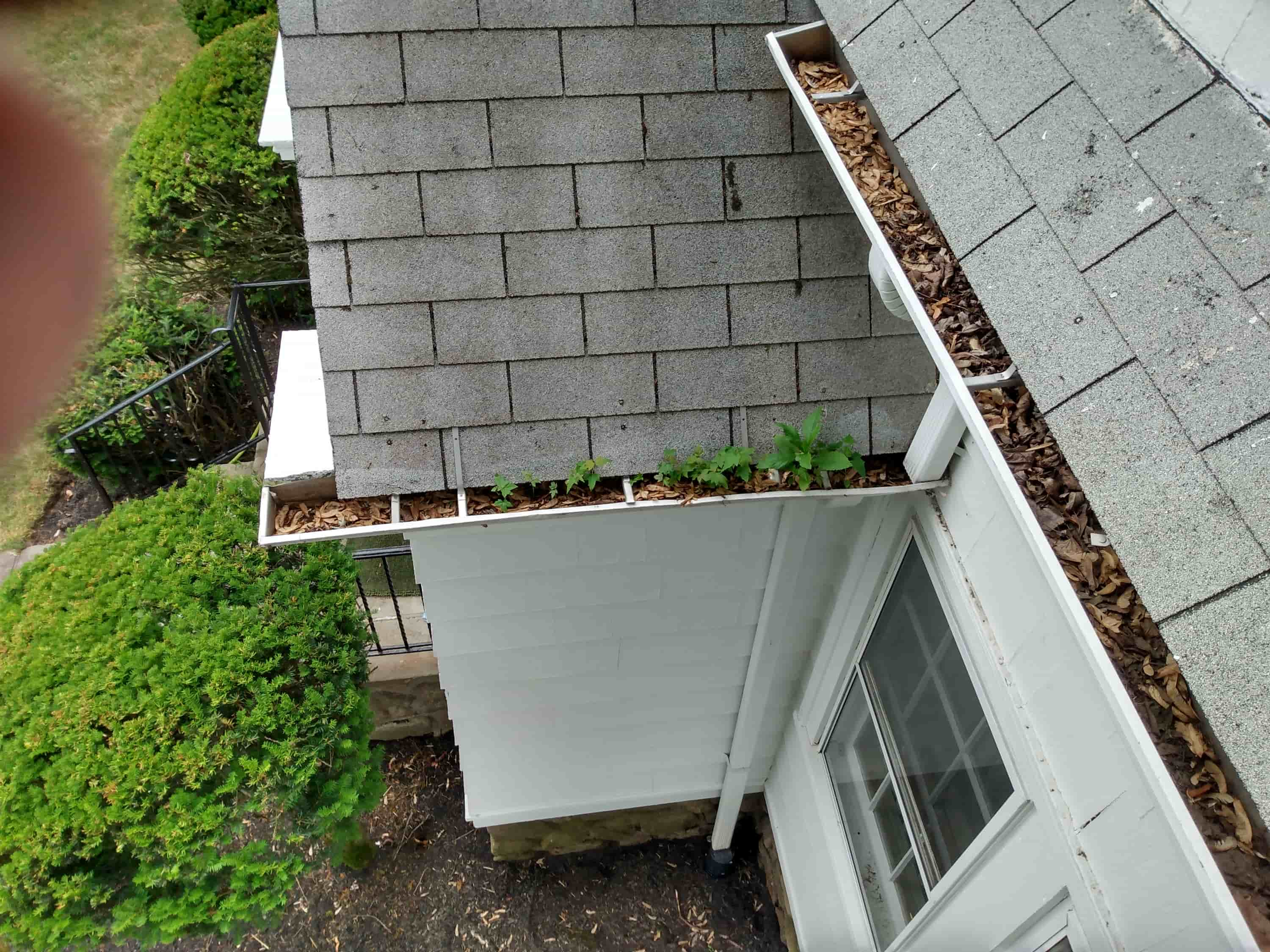 repairing rain gutters