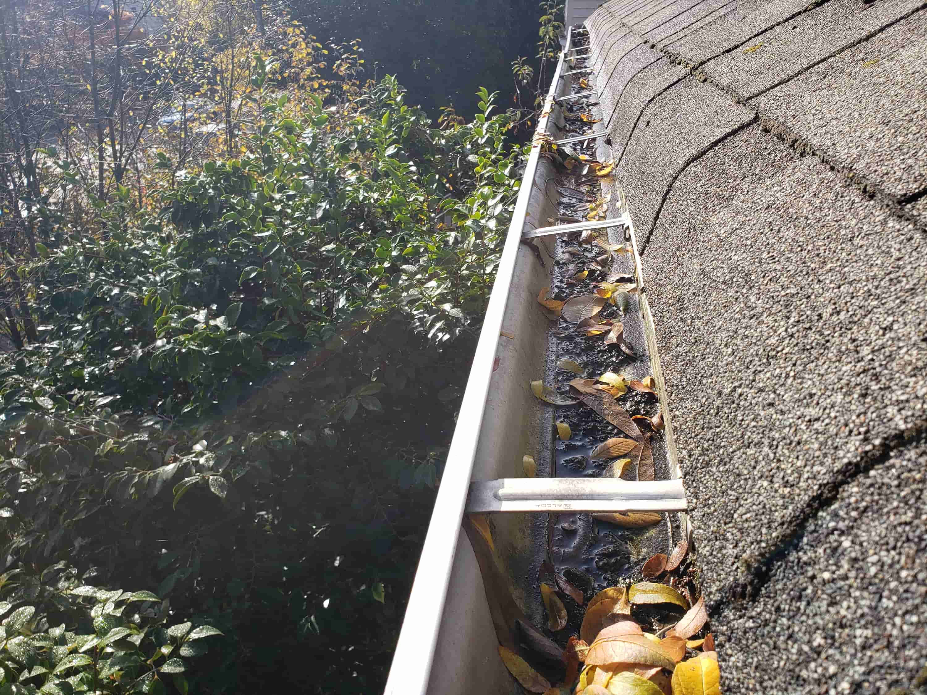 gutter cleaning myrtle beach