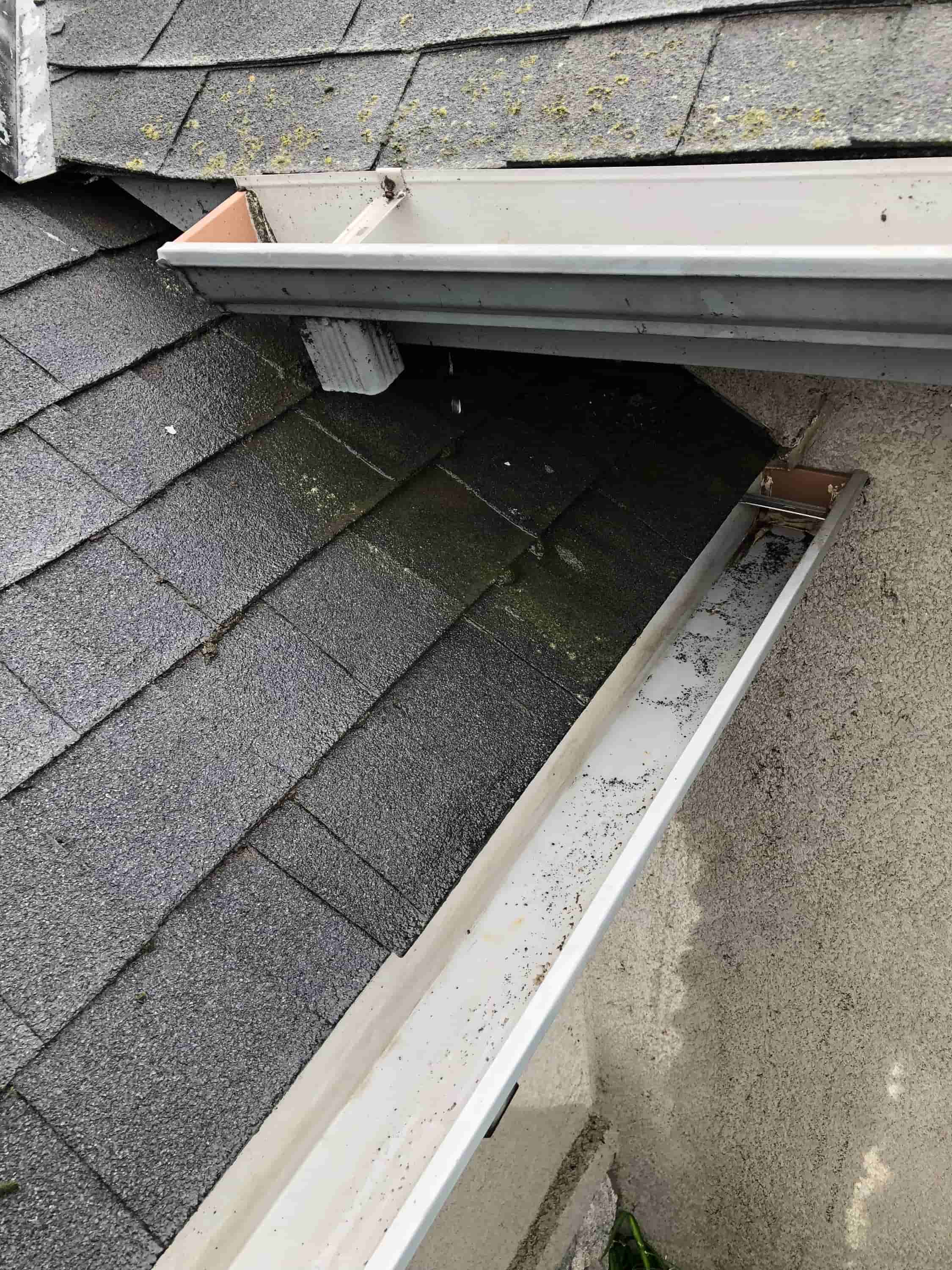 gutter cleaning system