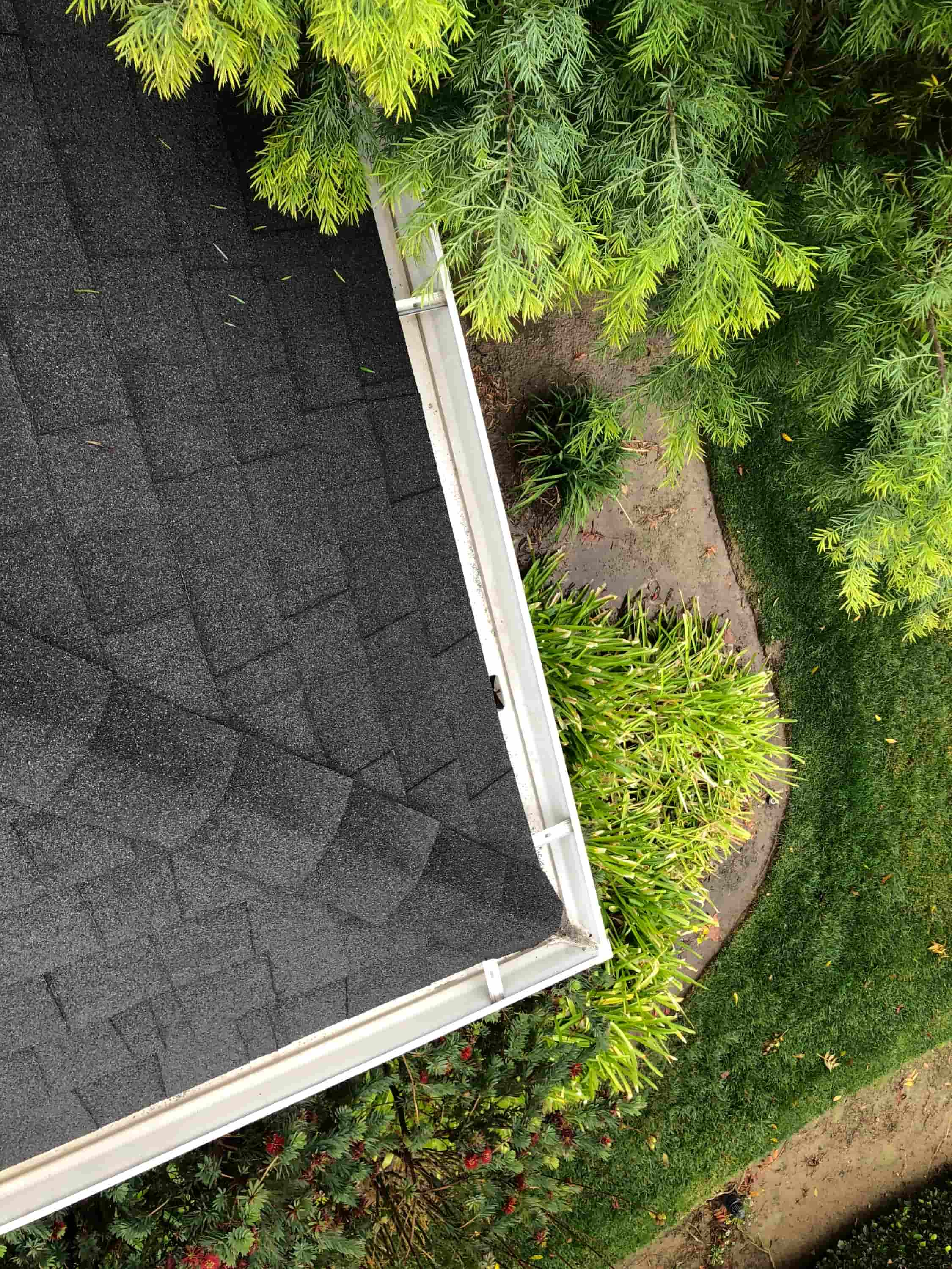 pro gutter cleaning sussex