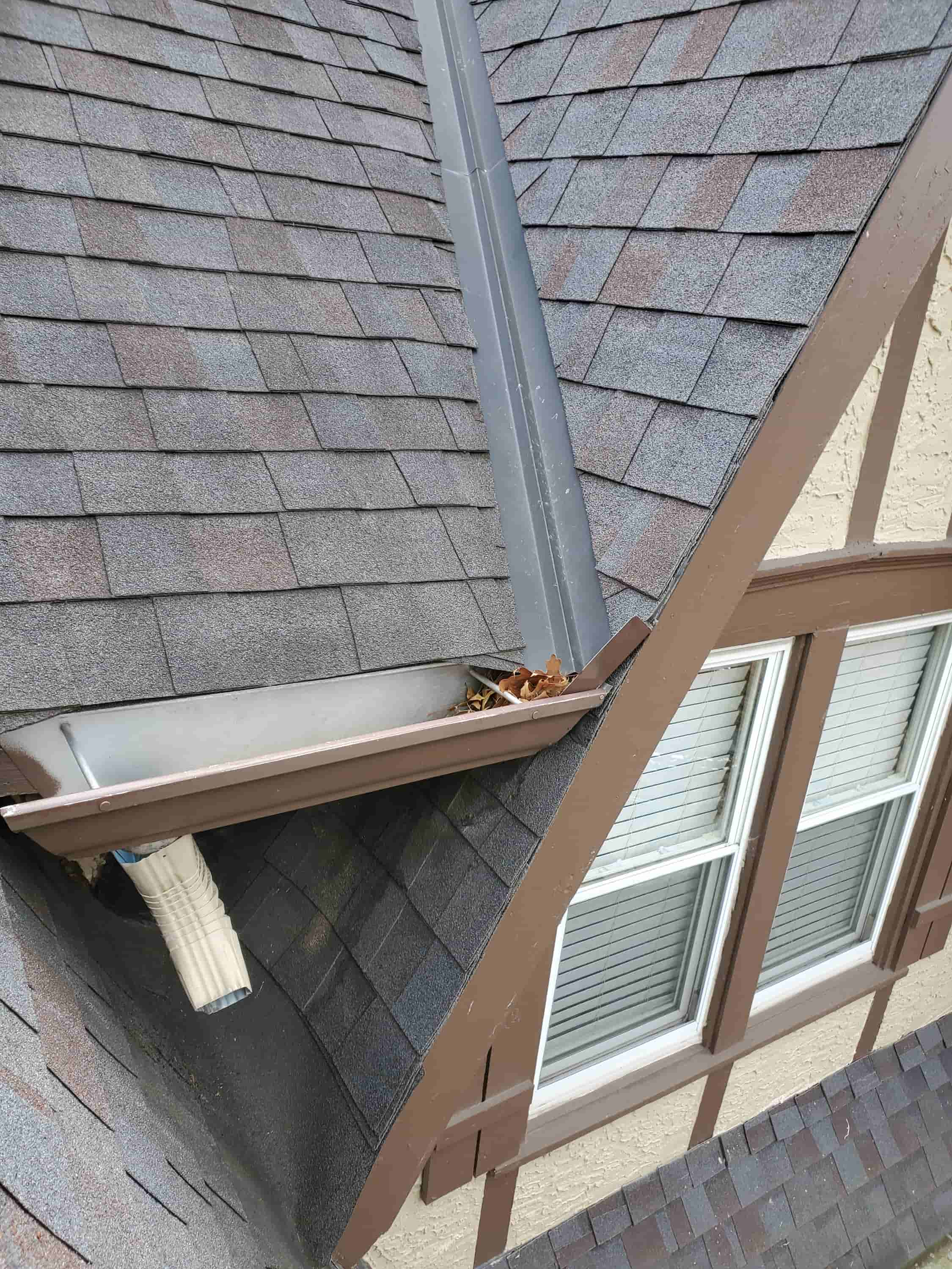 gutter cleanout