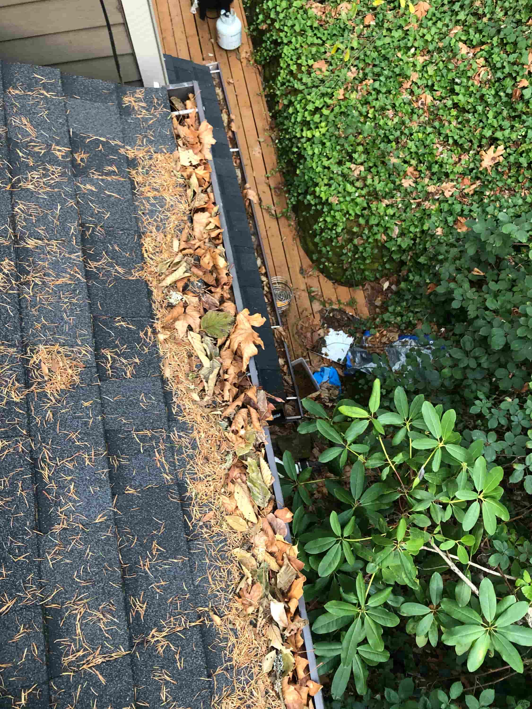 cleaning white upvc guttering