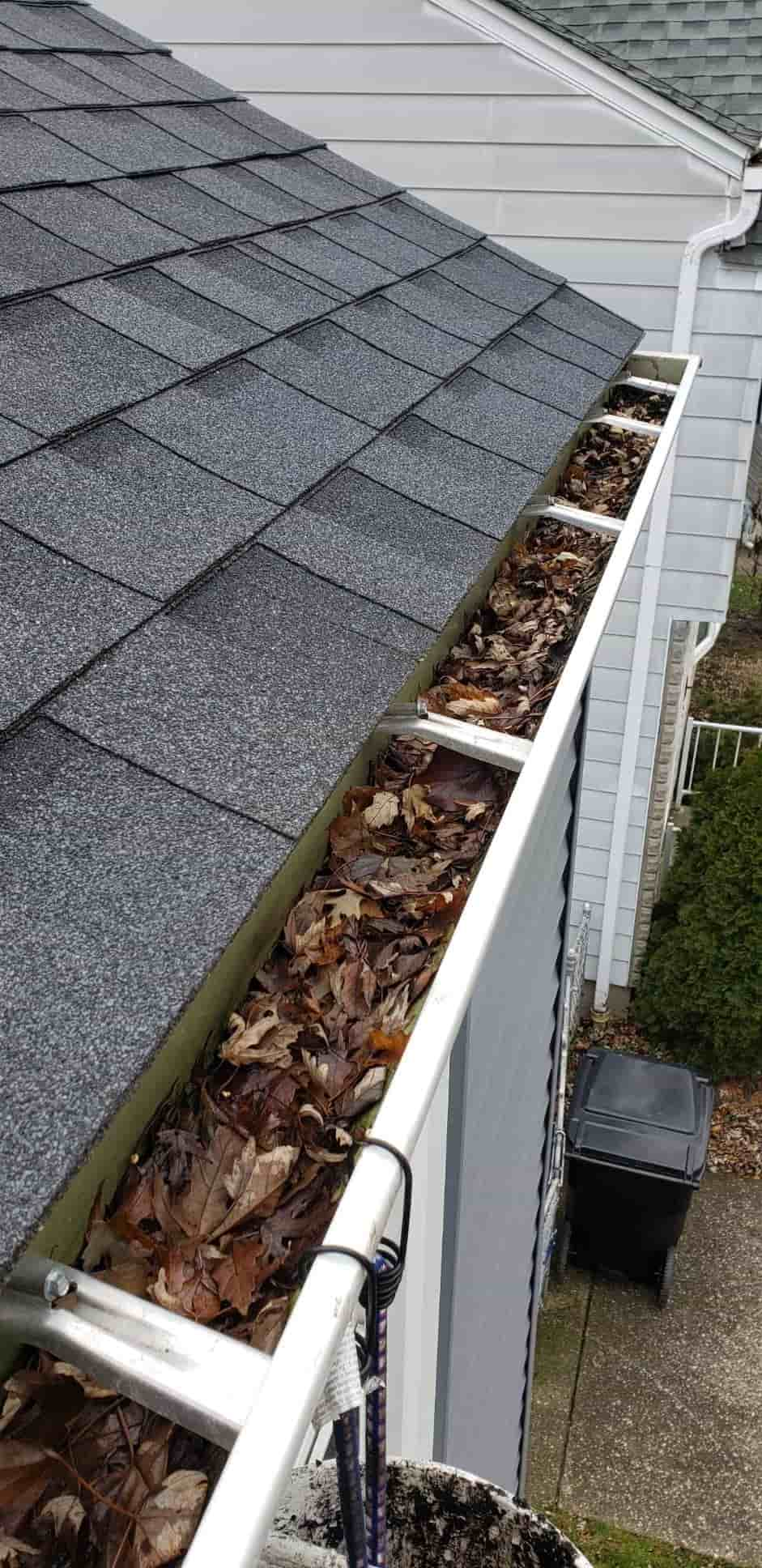 gutter cleaning and roofing services