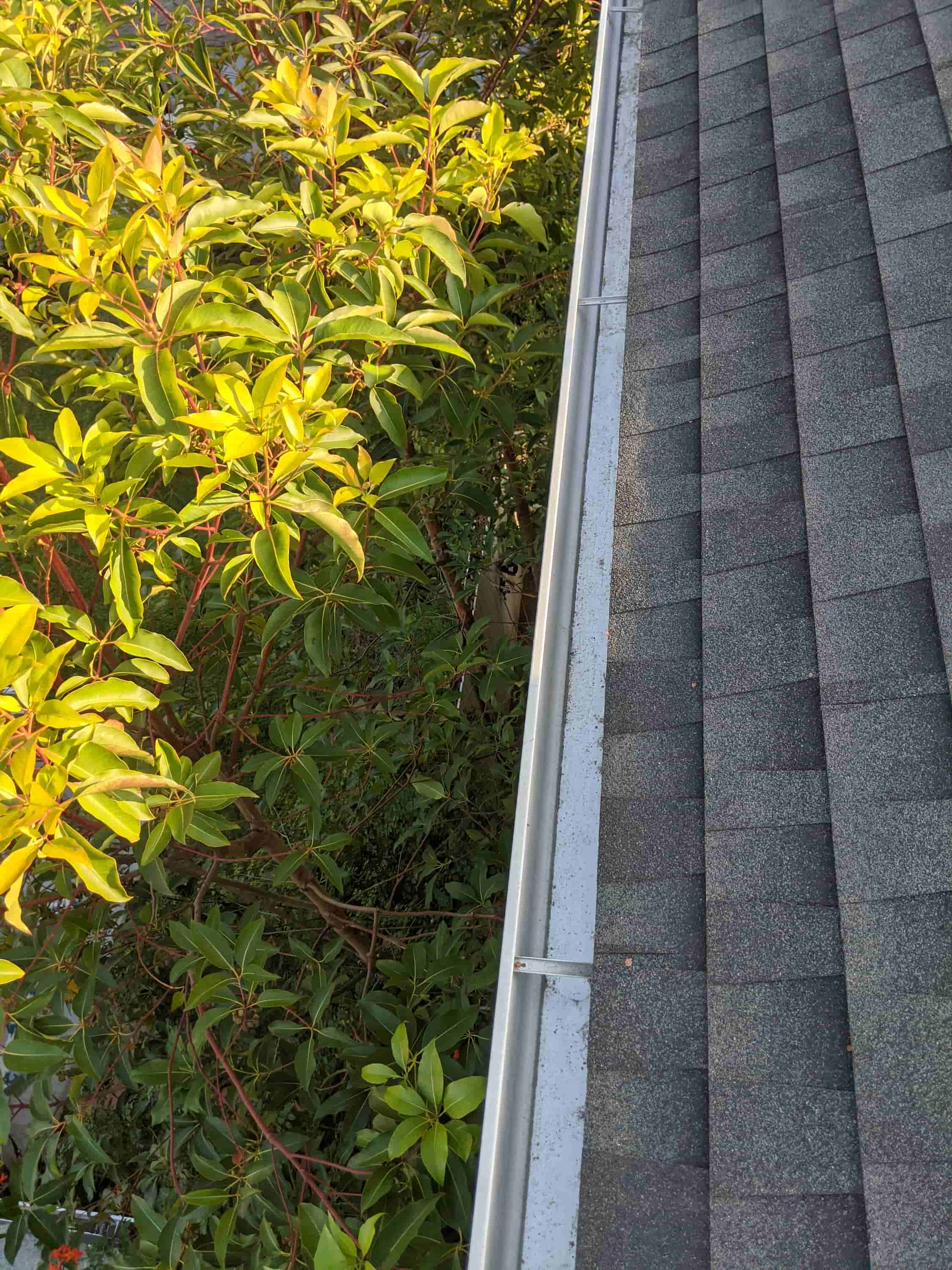 how to clean outside of gutters