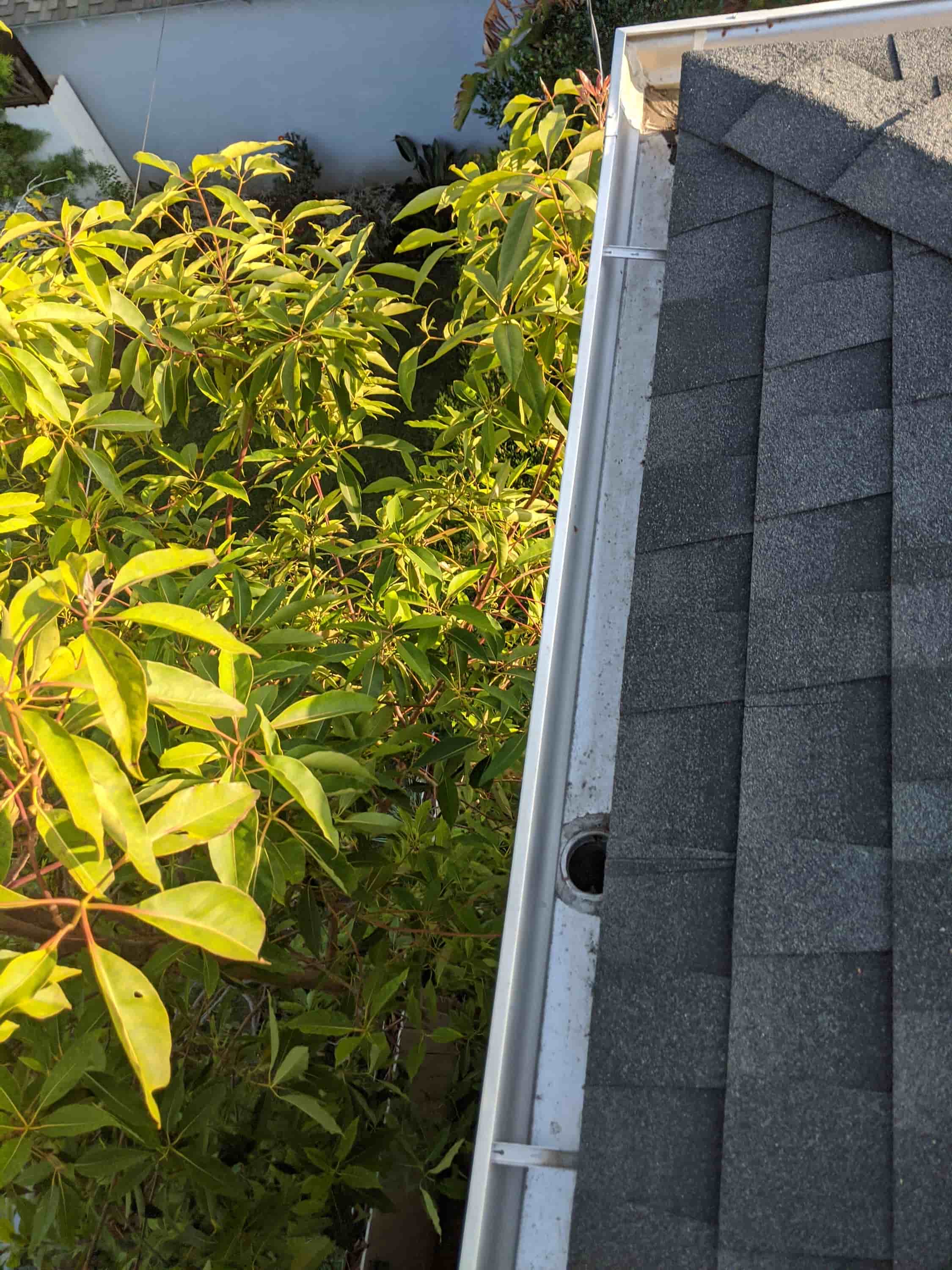 cleaning high gutters from the ground