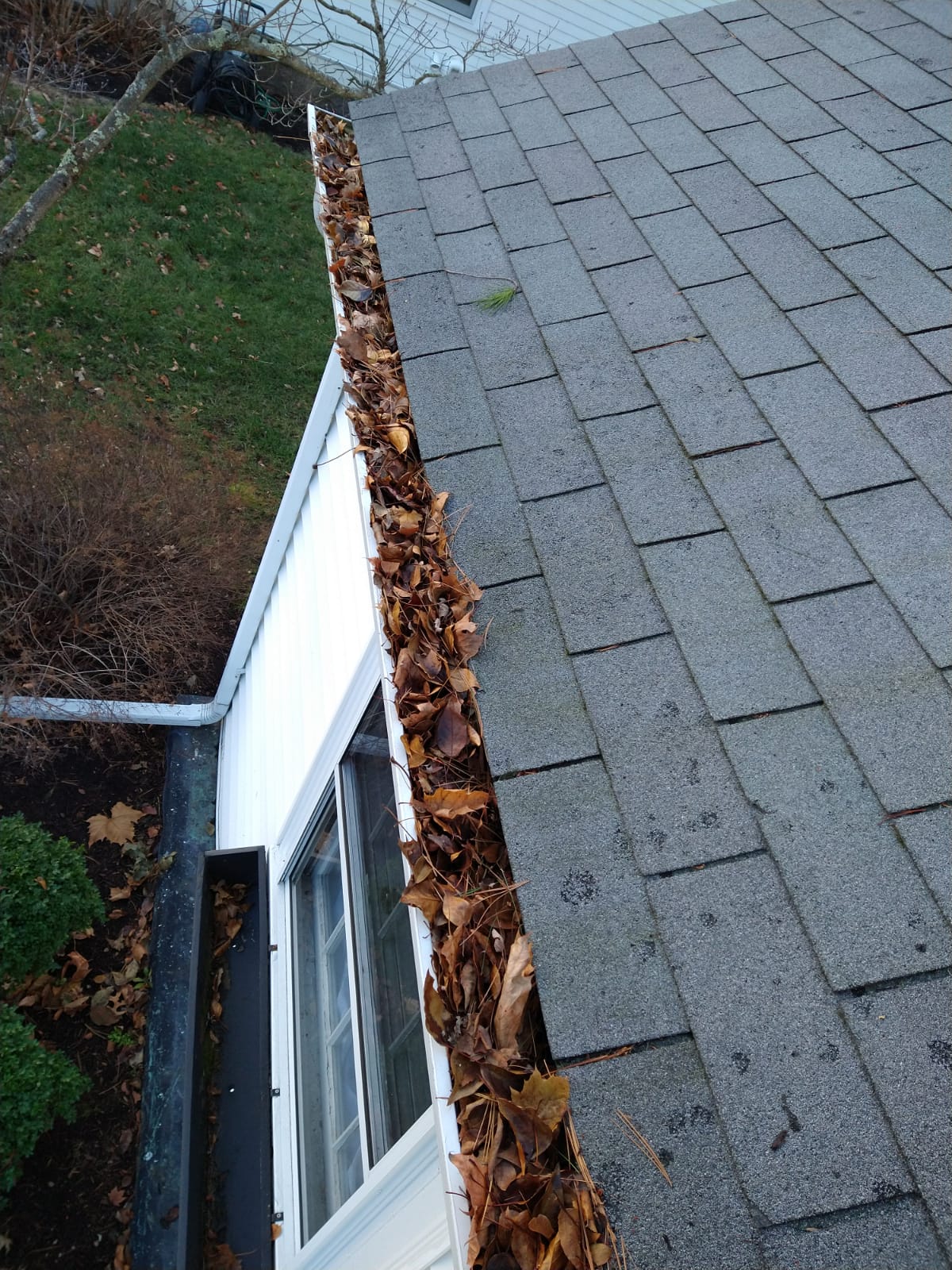 how to clean your gutters