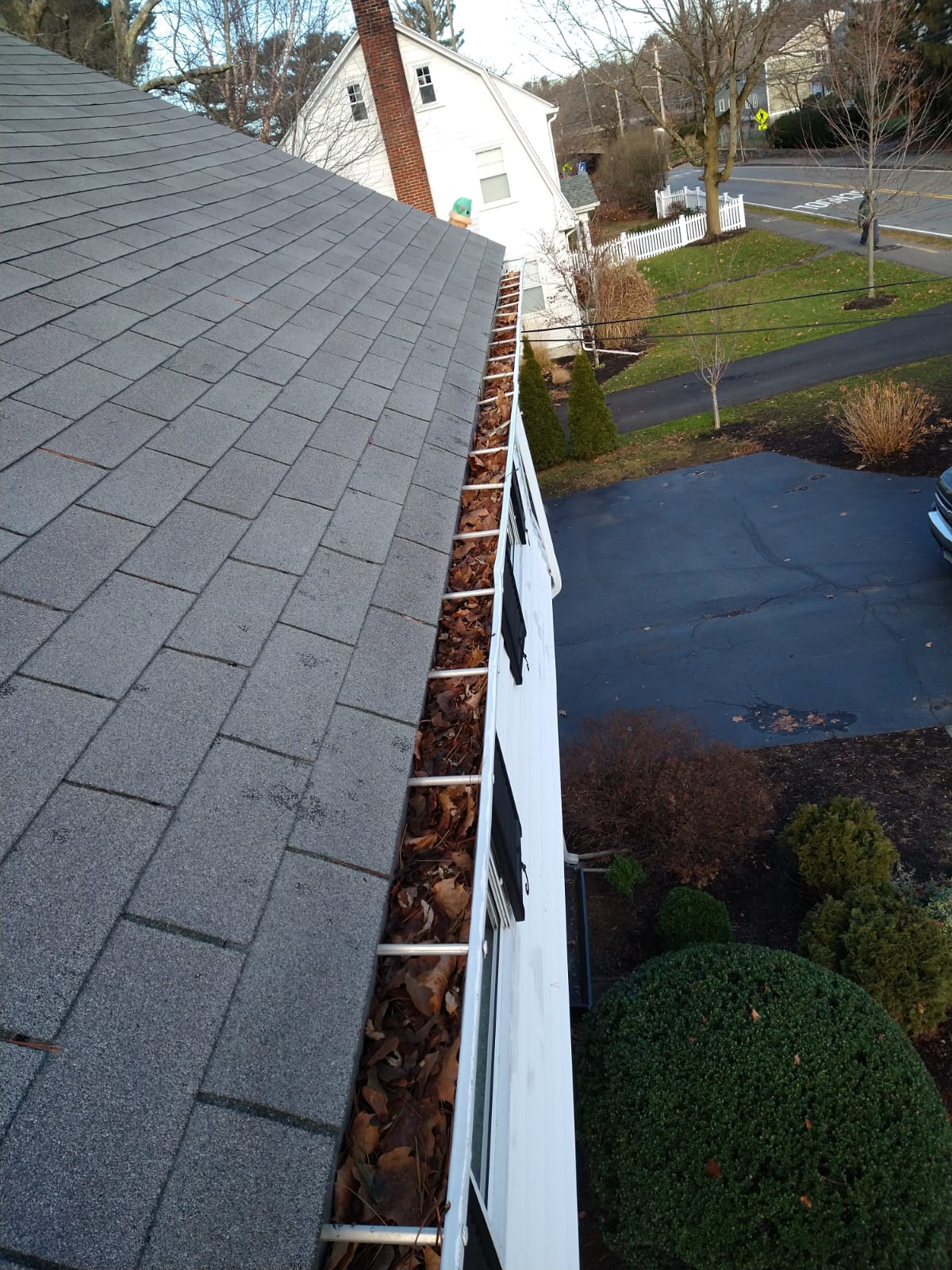 blowing leaves off roof