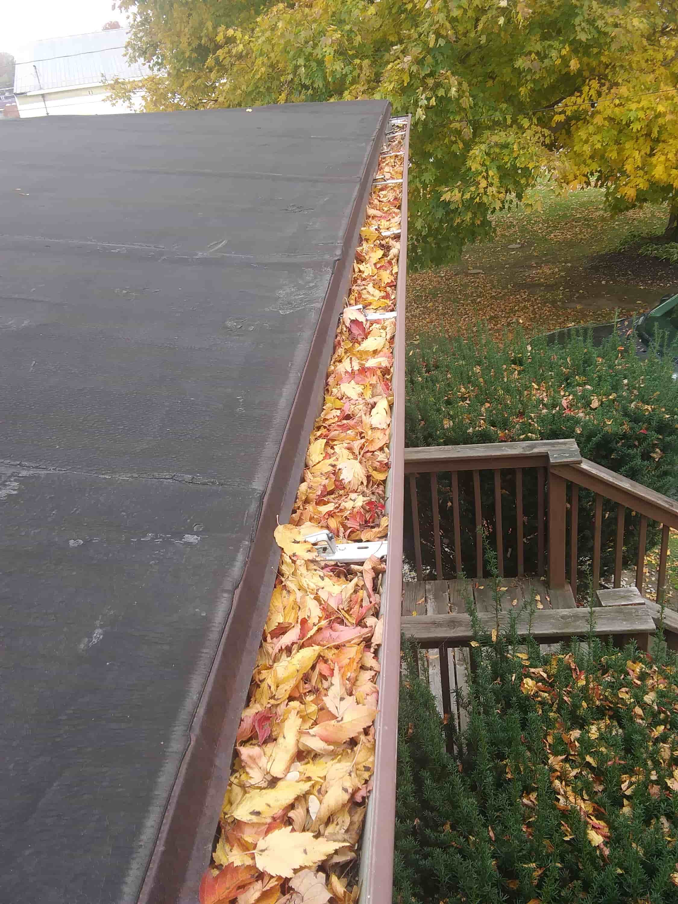 ladder to clean gutters