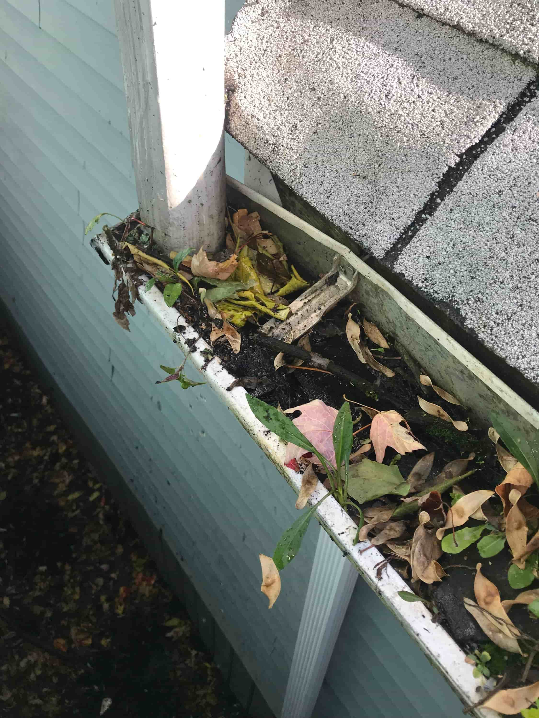 gutter clean and repair