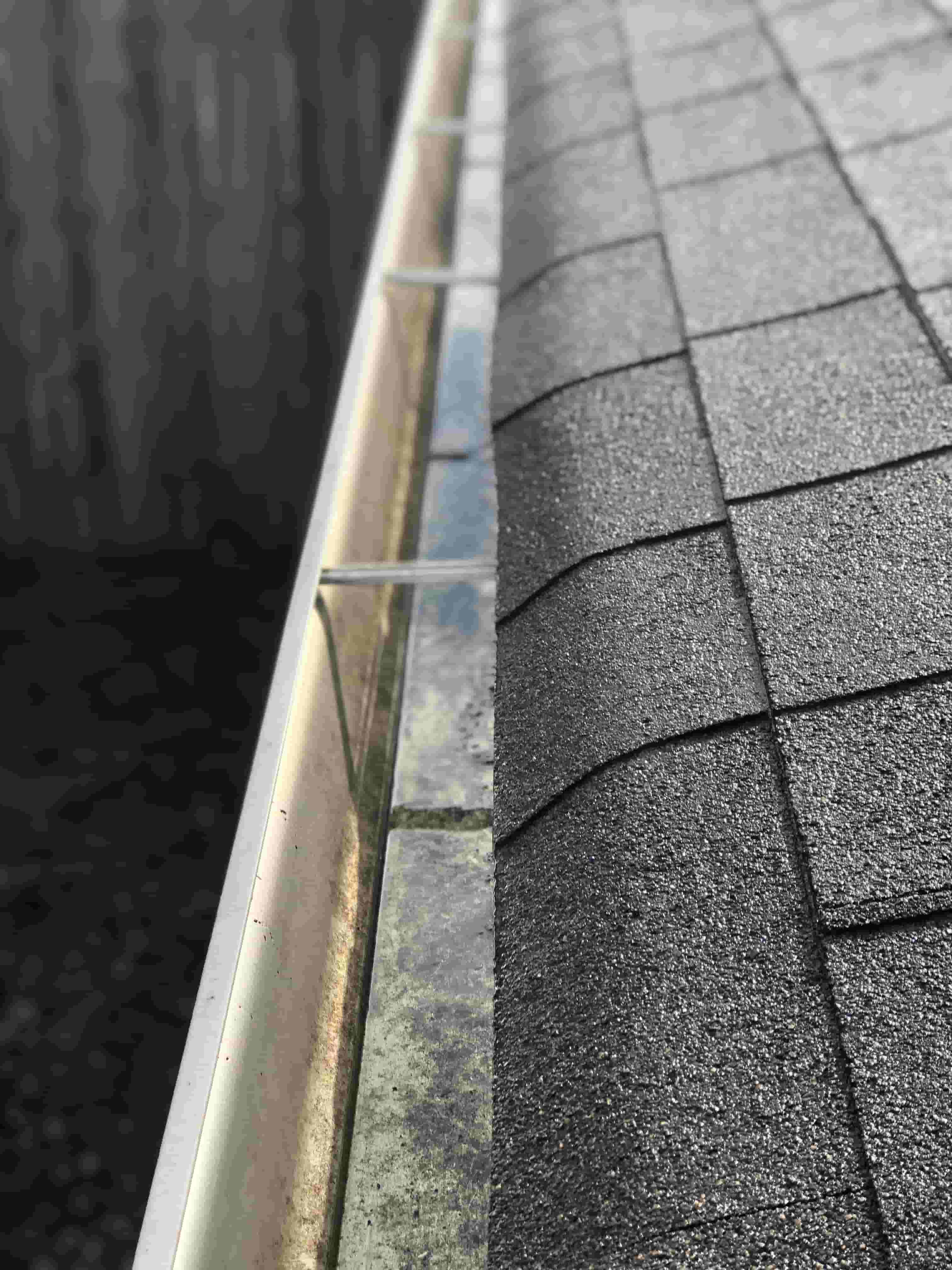 clean roof gutter