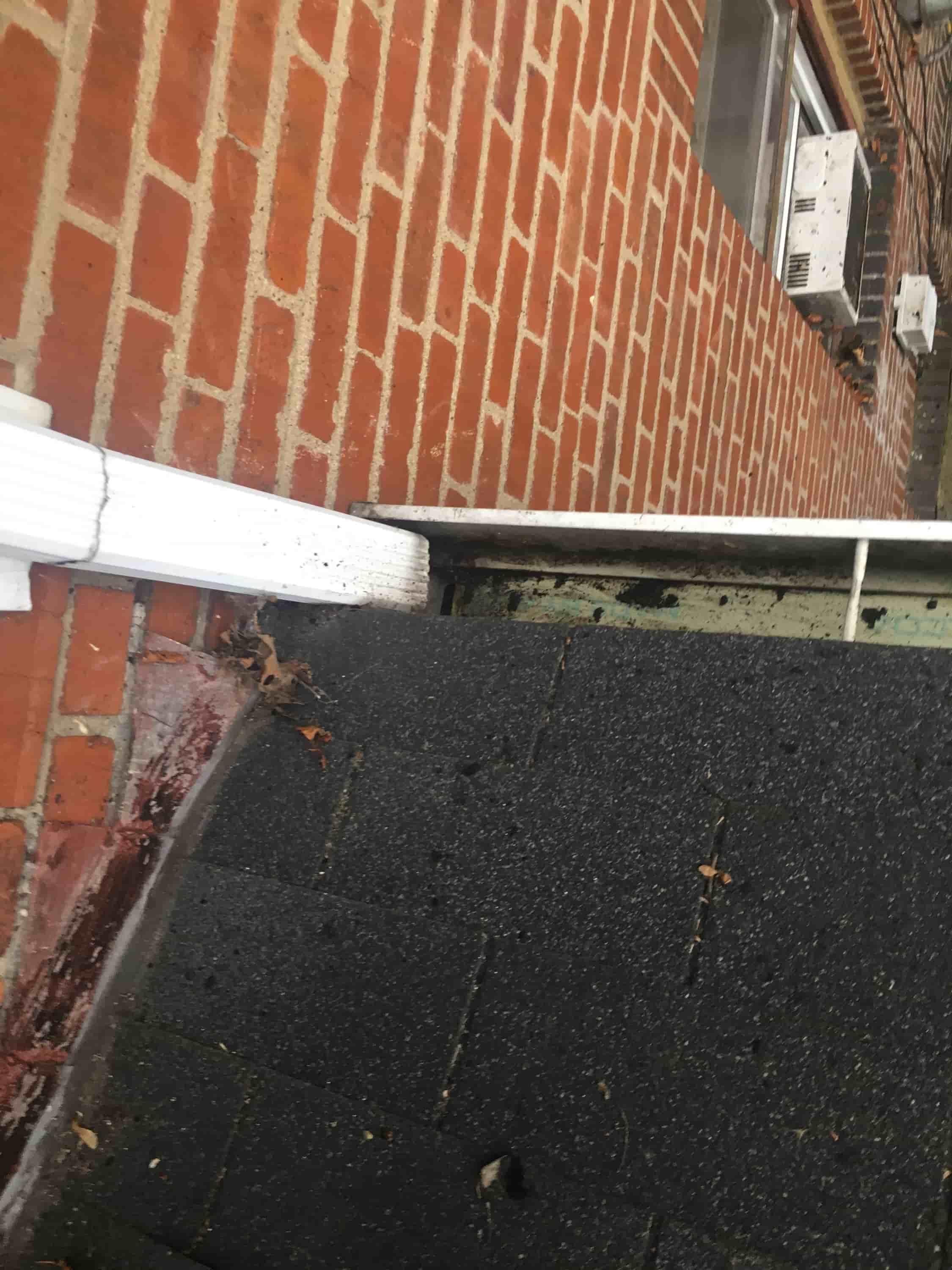 professional gutter service