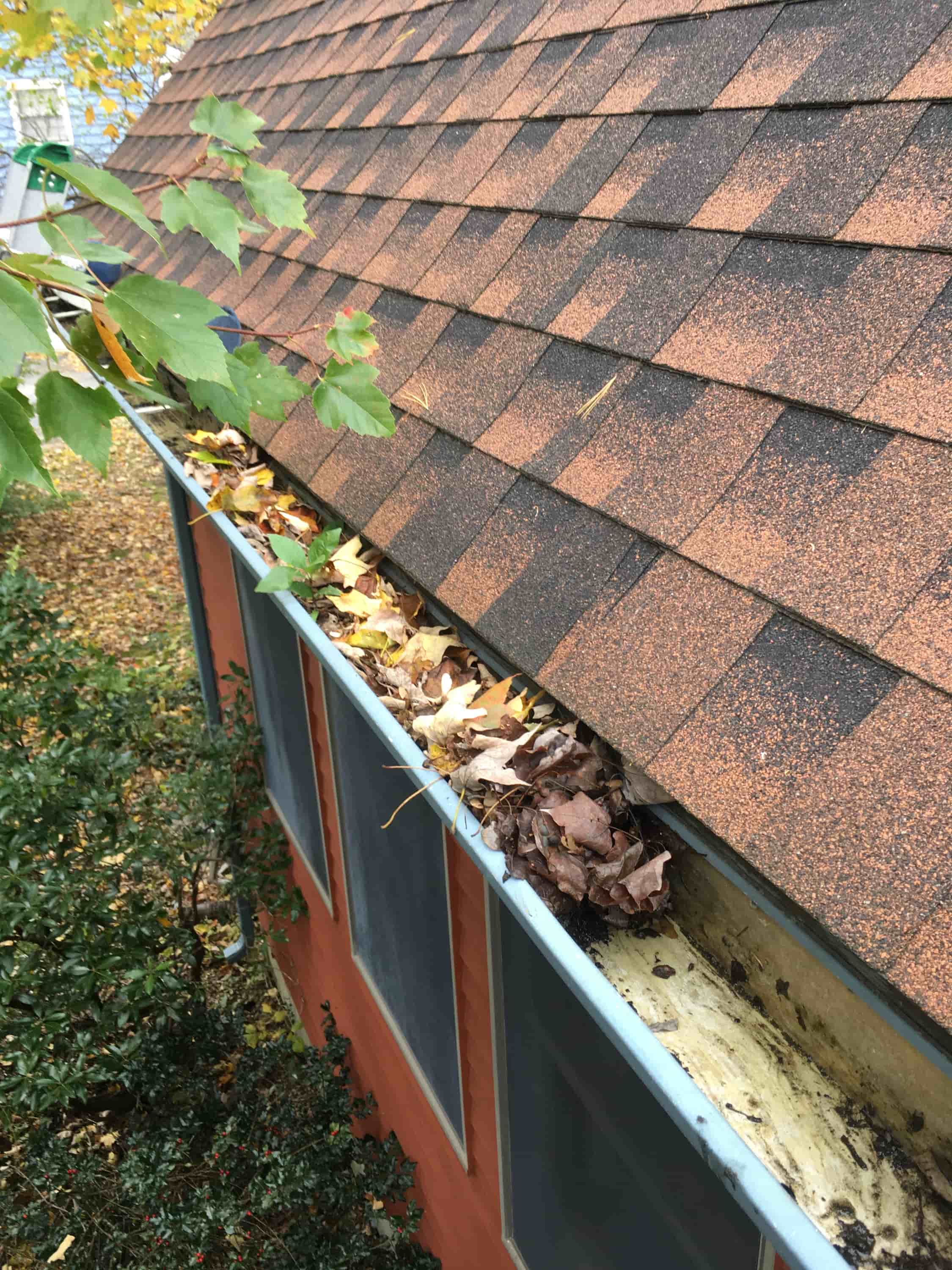 gutter cleaning cost