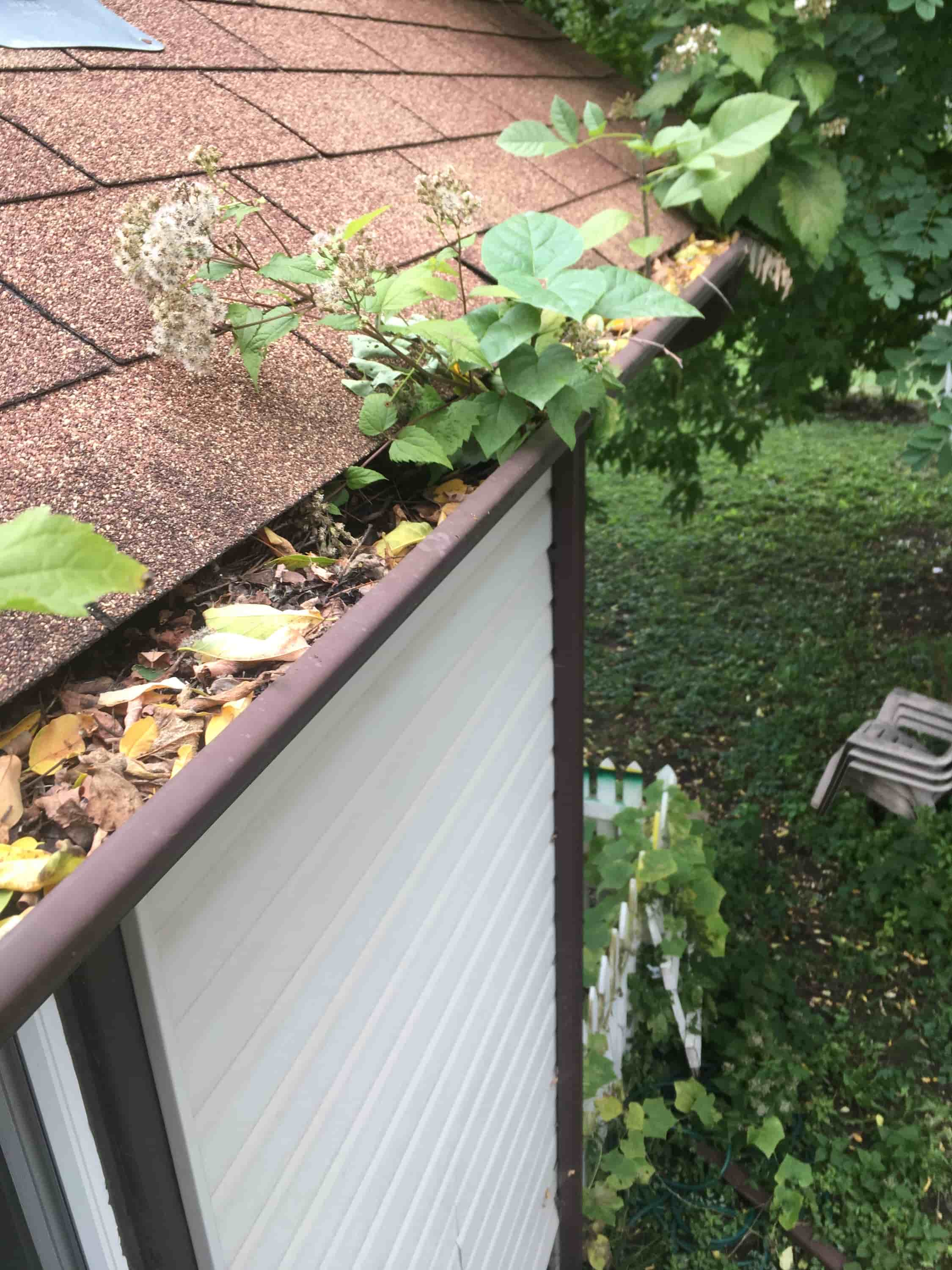 gutter cleaner wanted