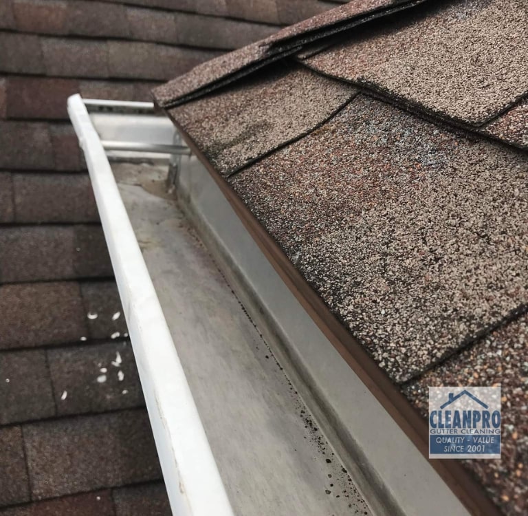 cleaning gutters service