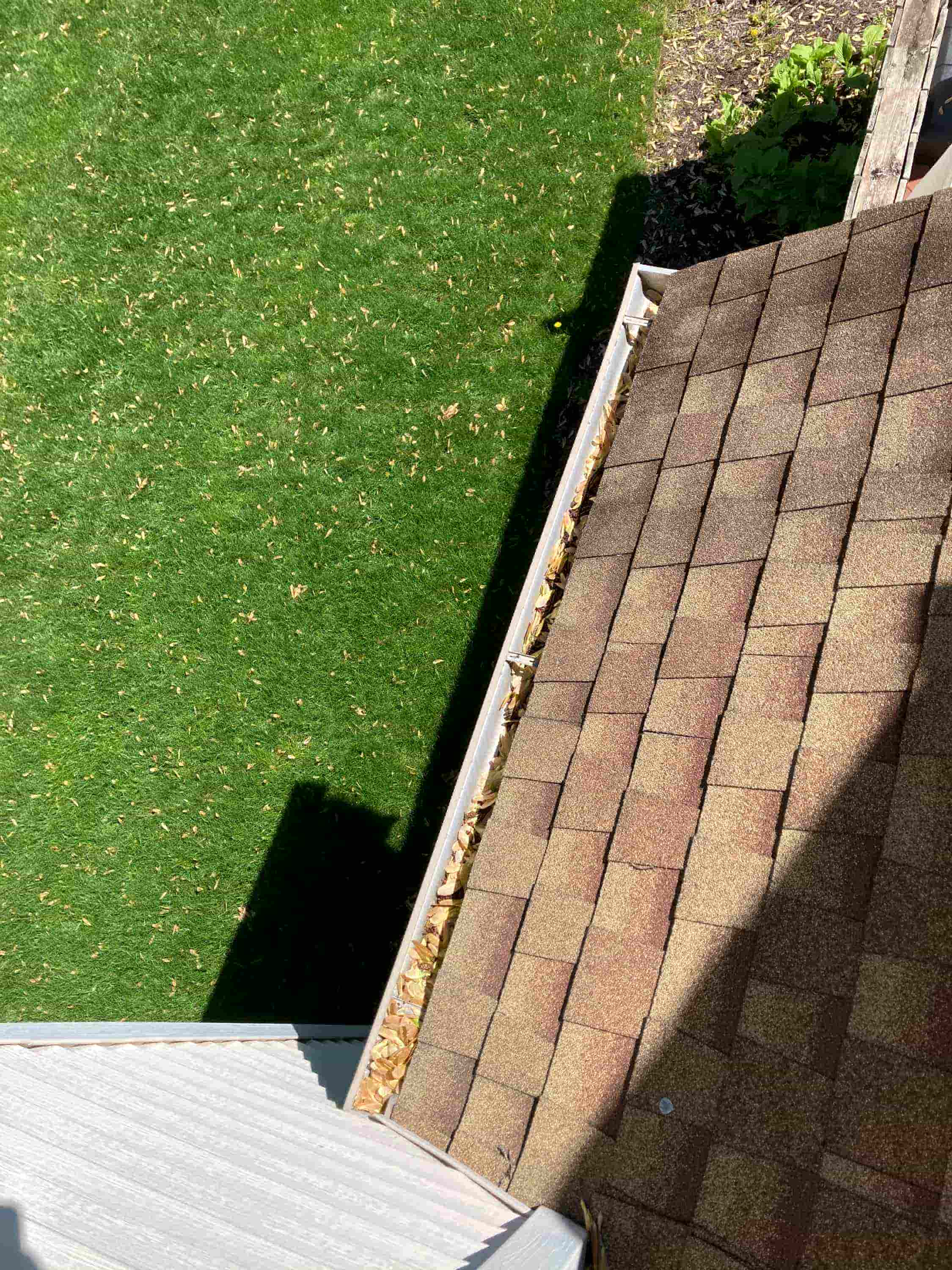 leaves in gutter