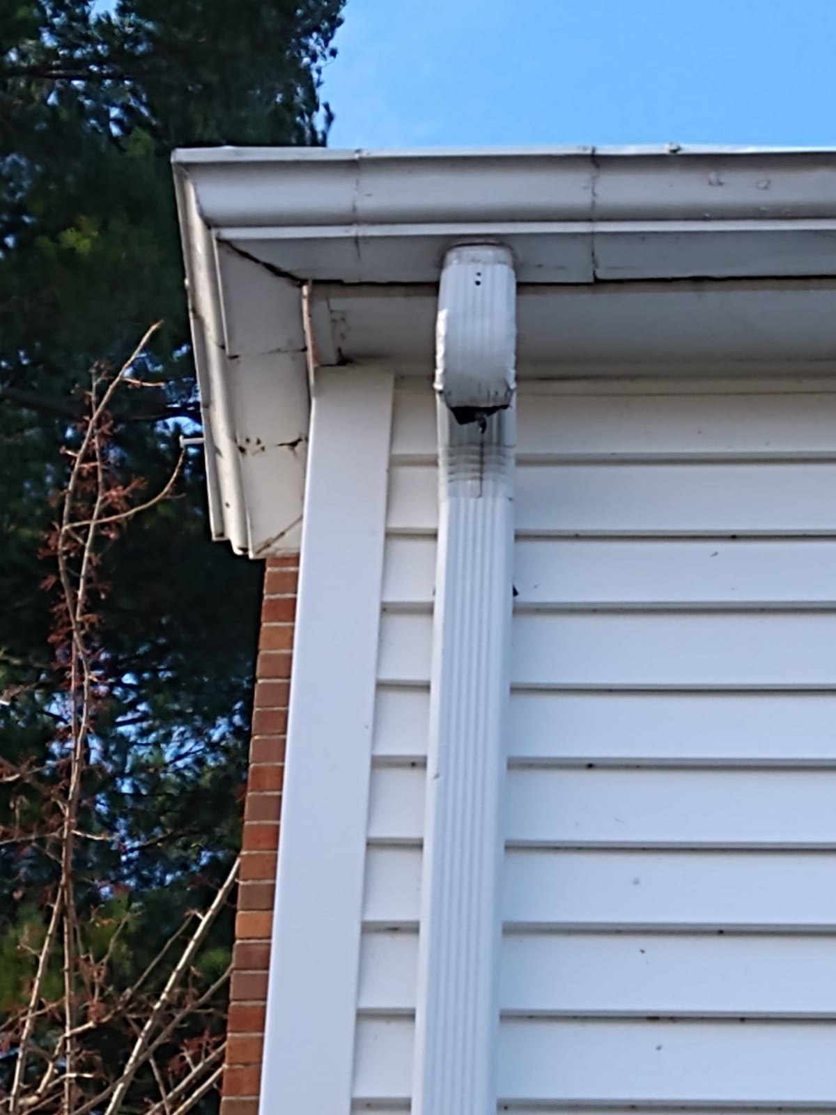 rain gutter cleaning services