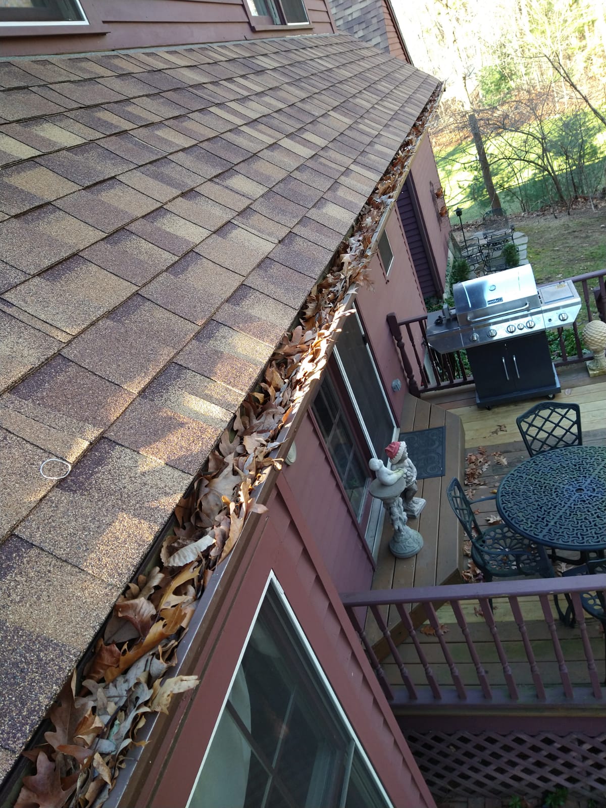 eave cleaning