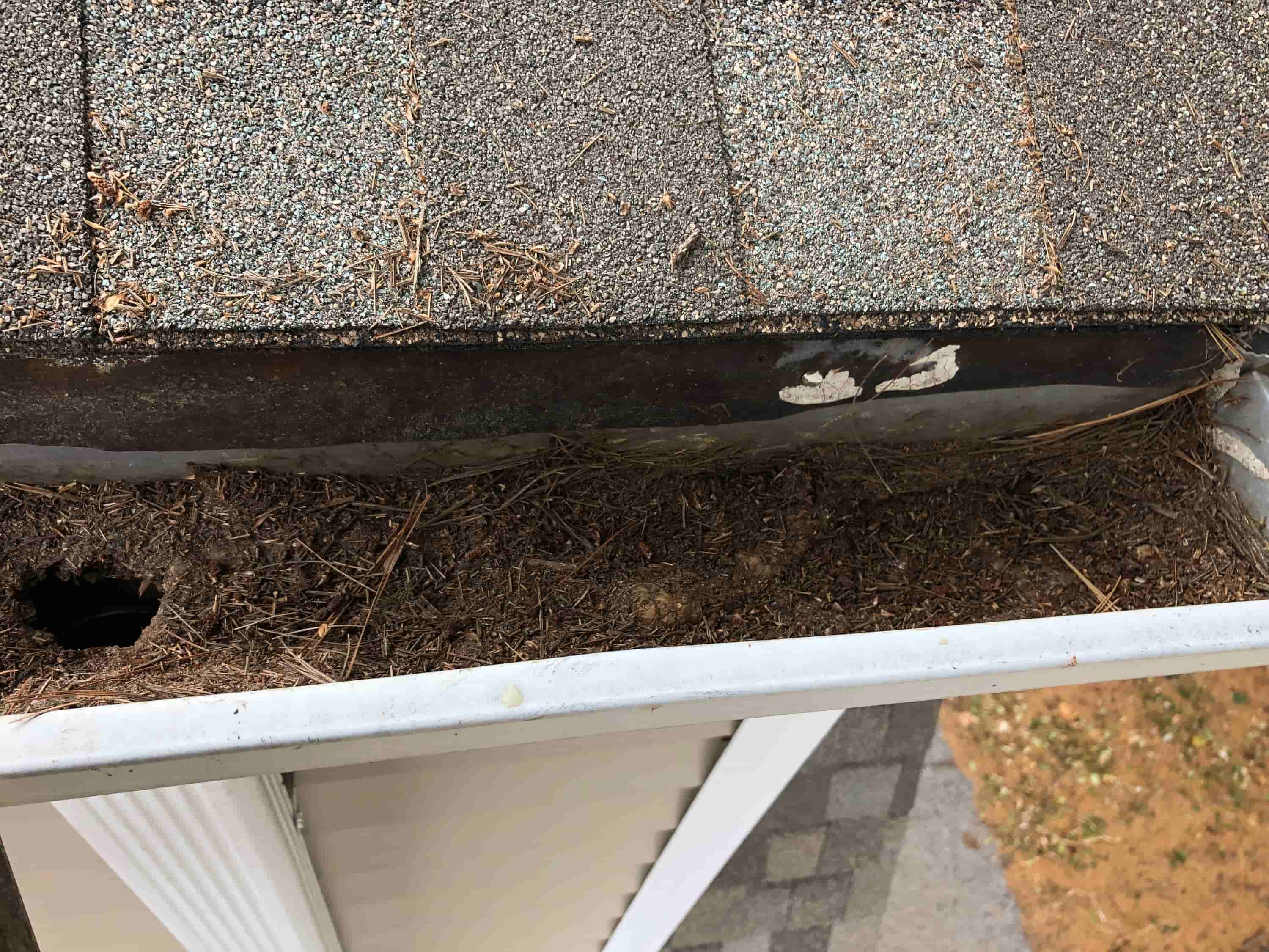 gutter cleaning images