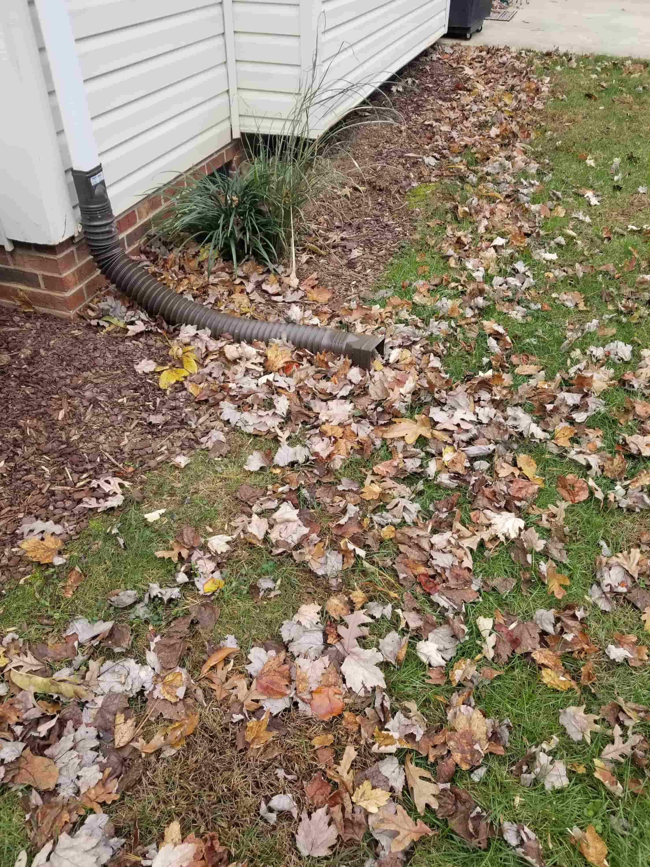 roof drain cleaning