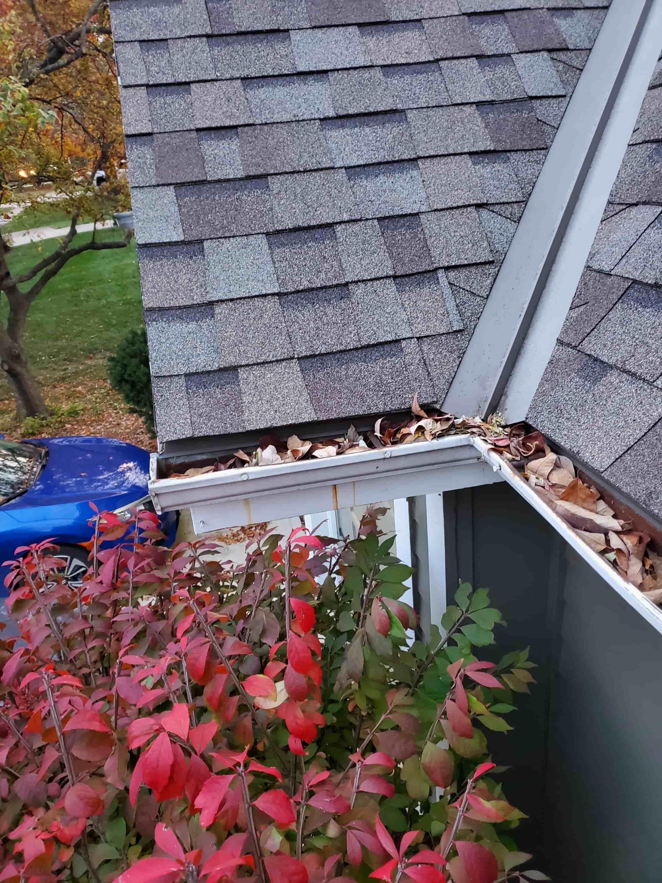 gutter cleaning from the ground