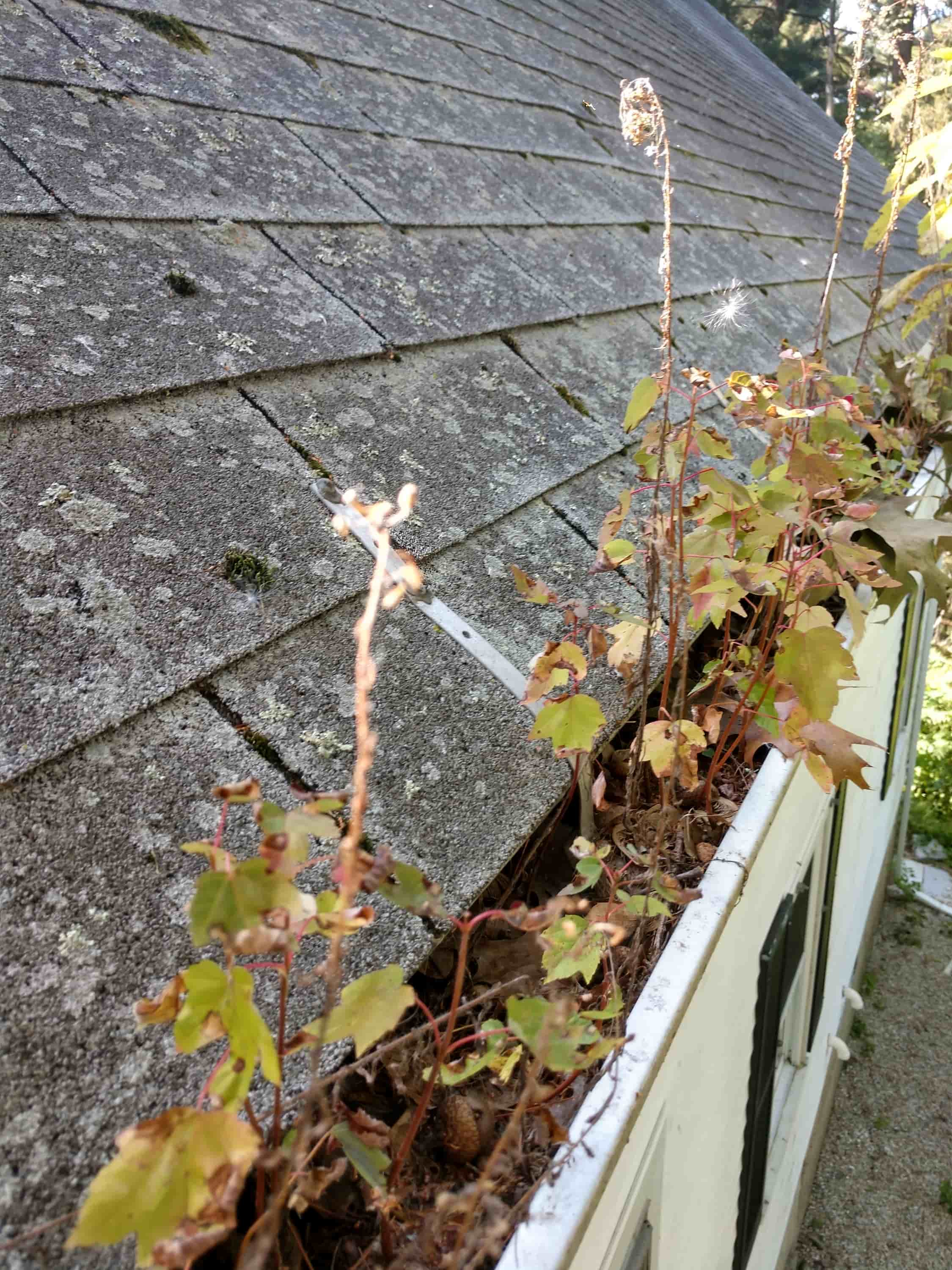 cleaning gutters safely