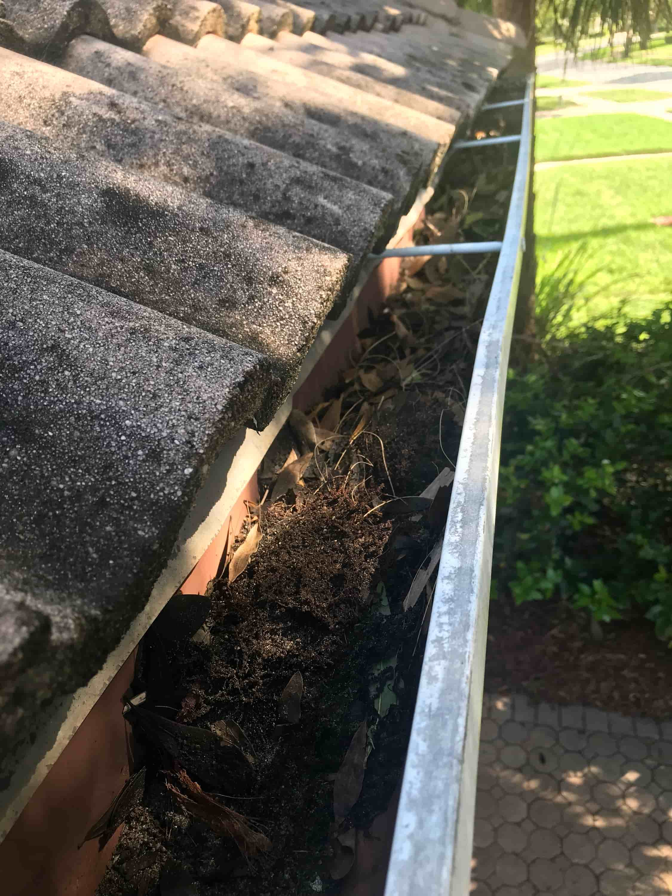 gutters cleaning