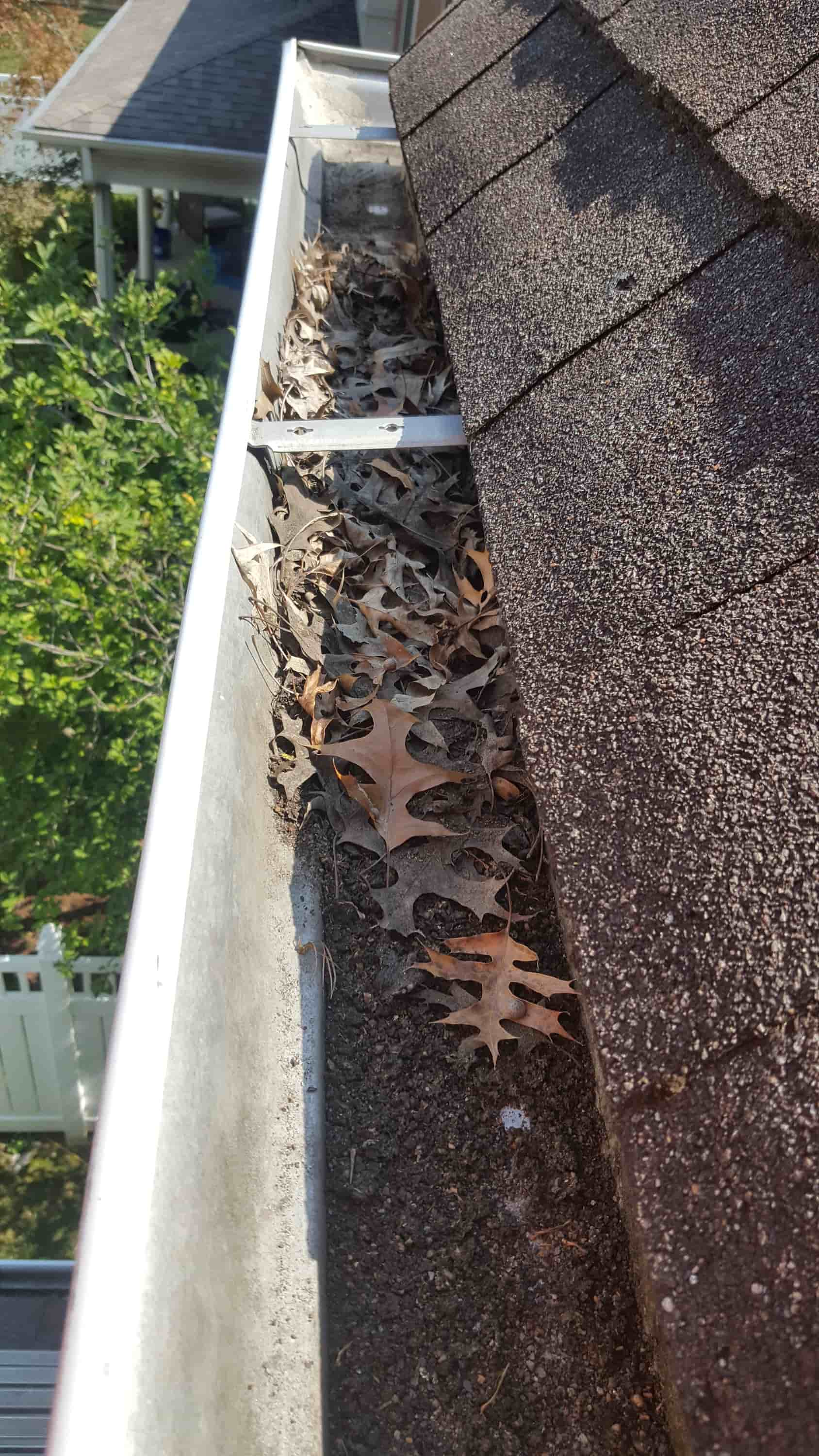 clean out gutter drains