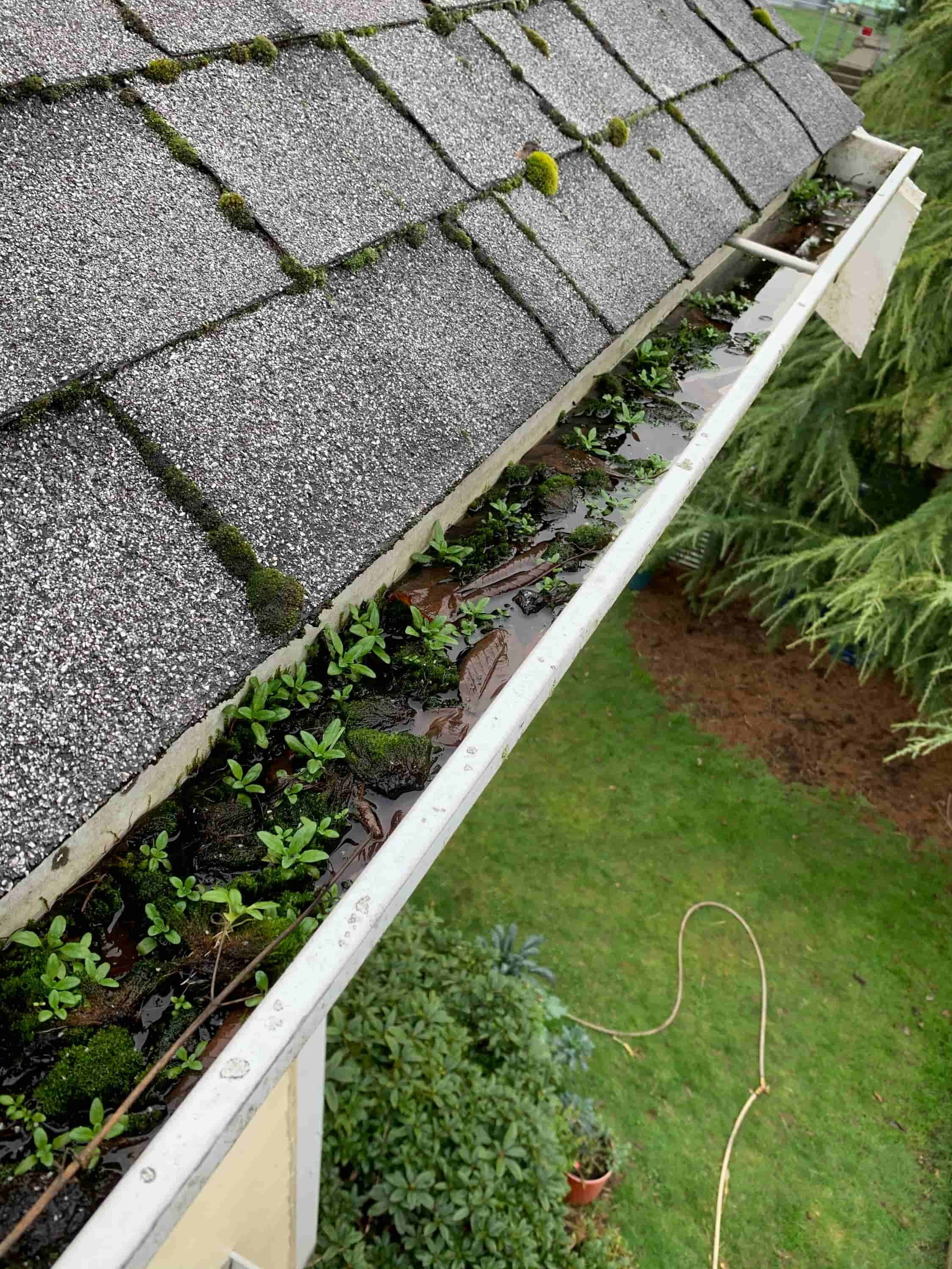 gutter cleaning from ground