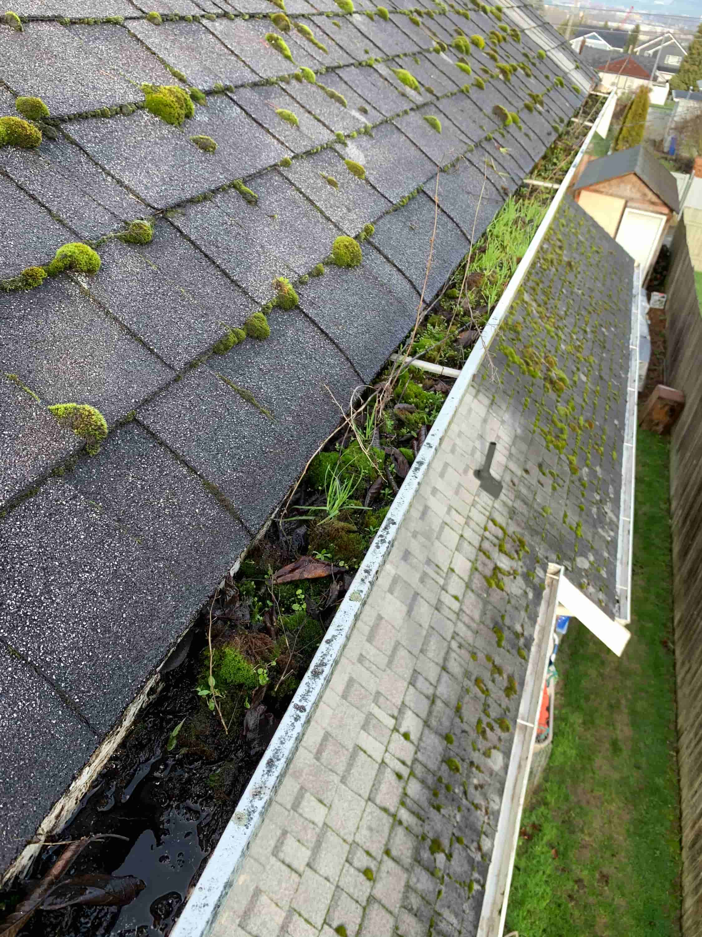 clean gutters without ladder