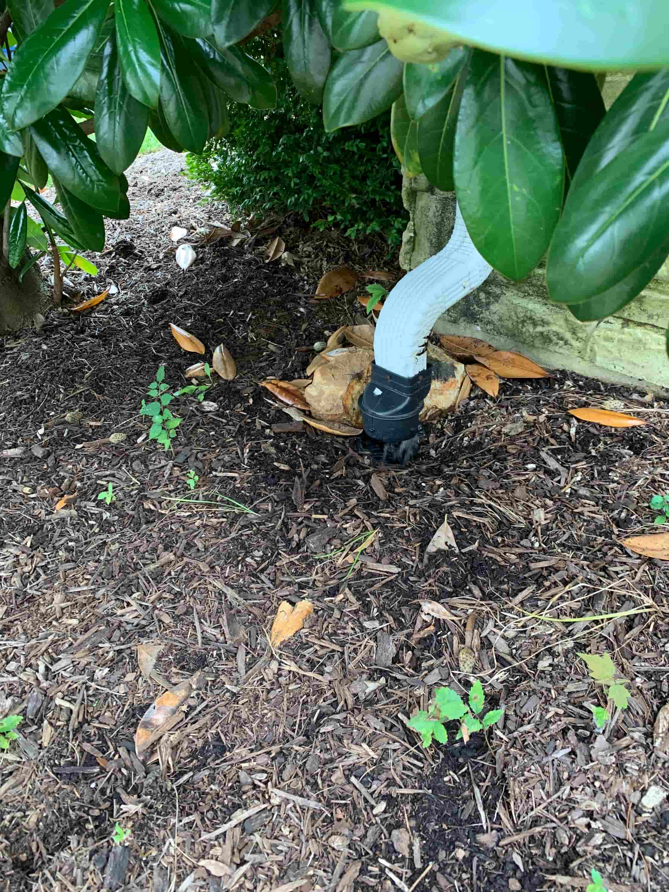 clogged rain gutter downspout