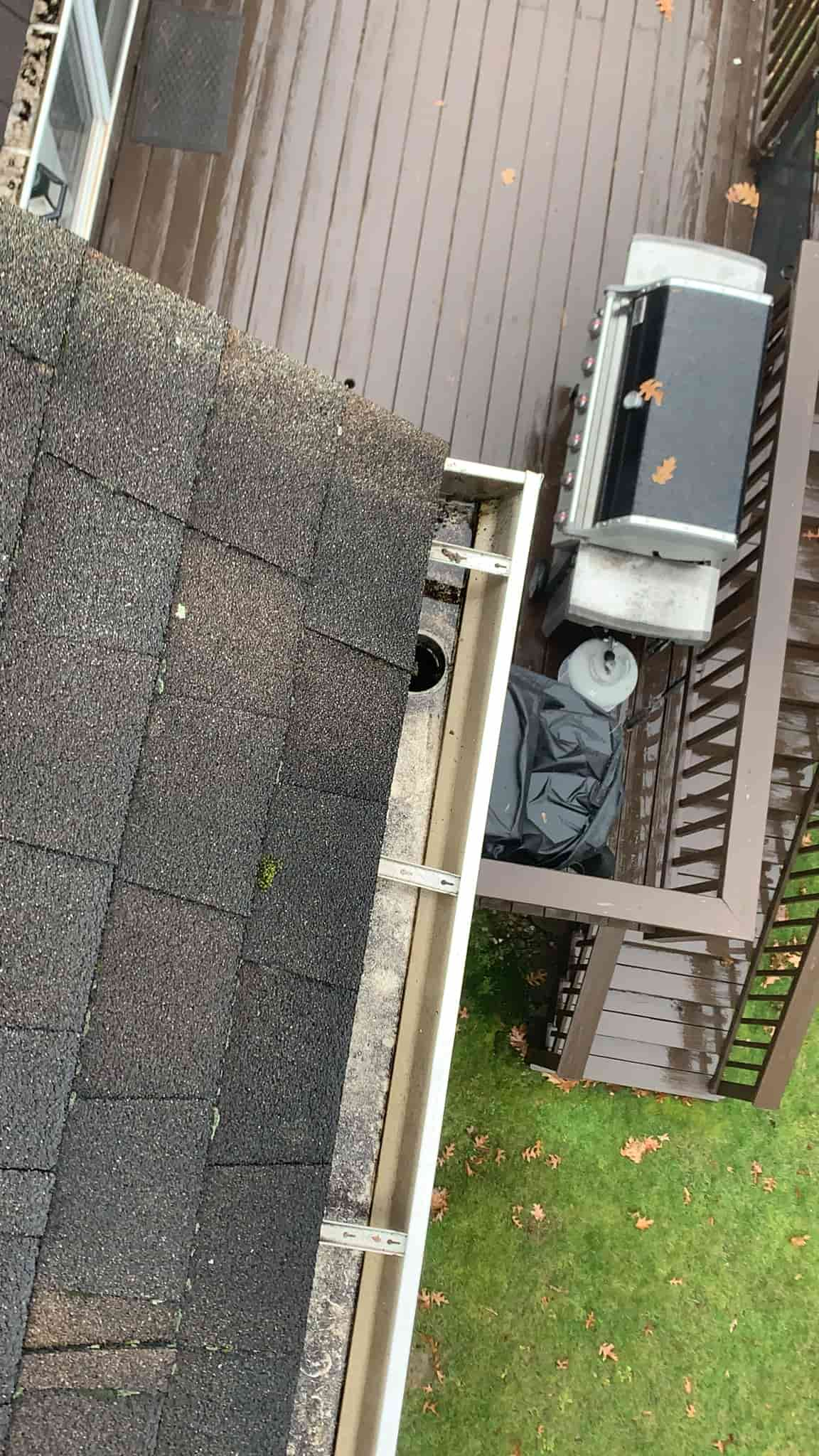 any gutter cleaned