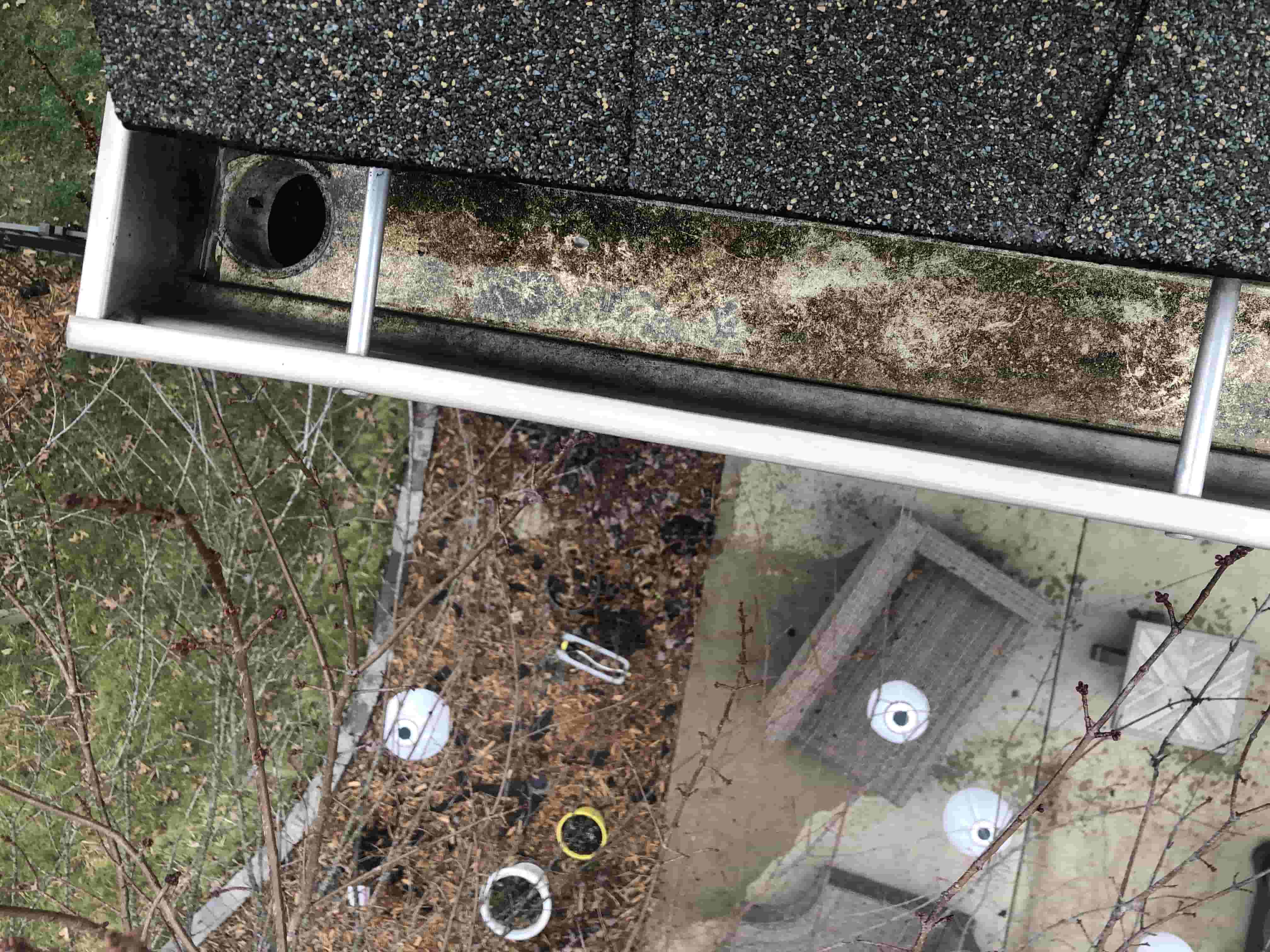 who to call to clean gutters