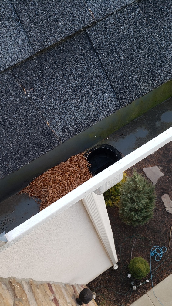 price of gutter cleaning