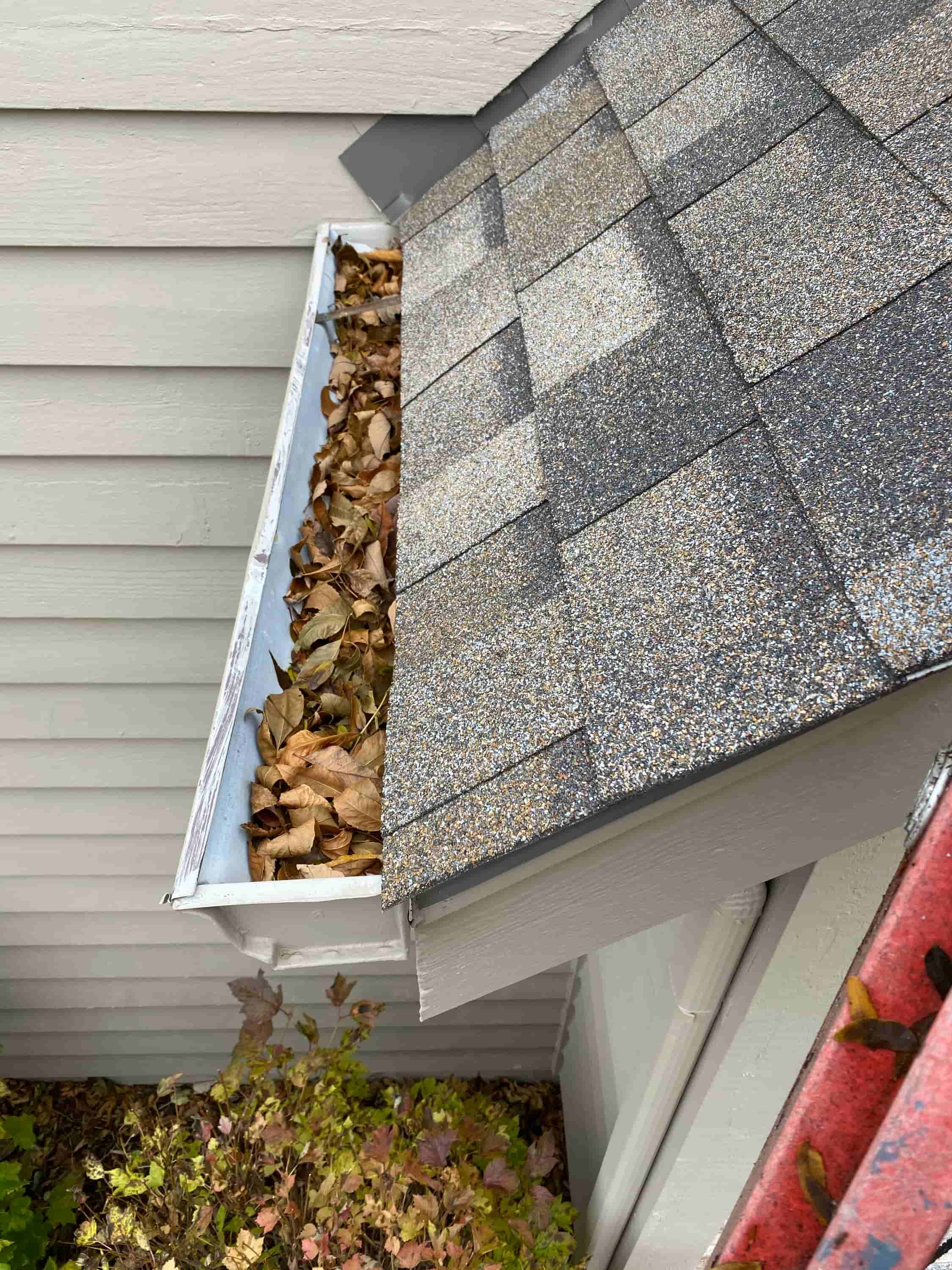 clean out gutter drains