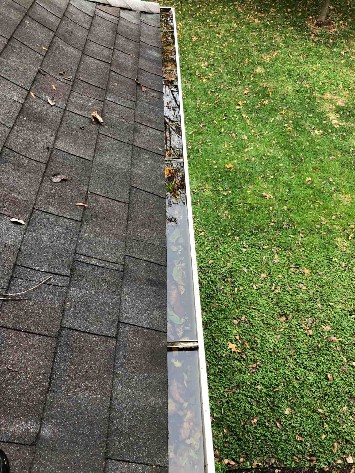 ladder for cleaning gutters