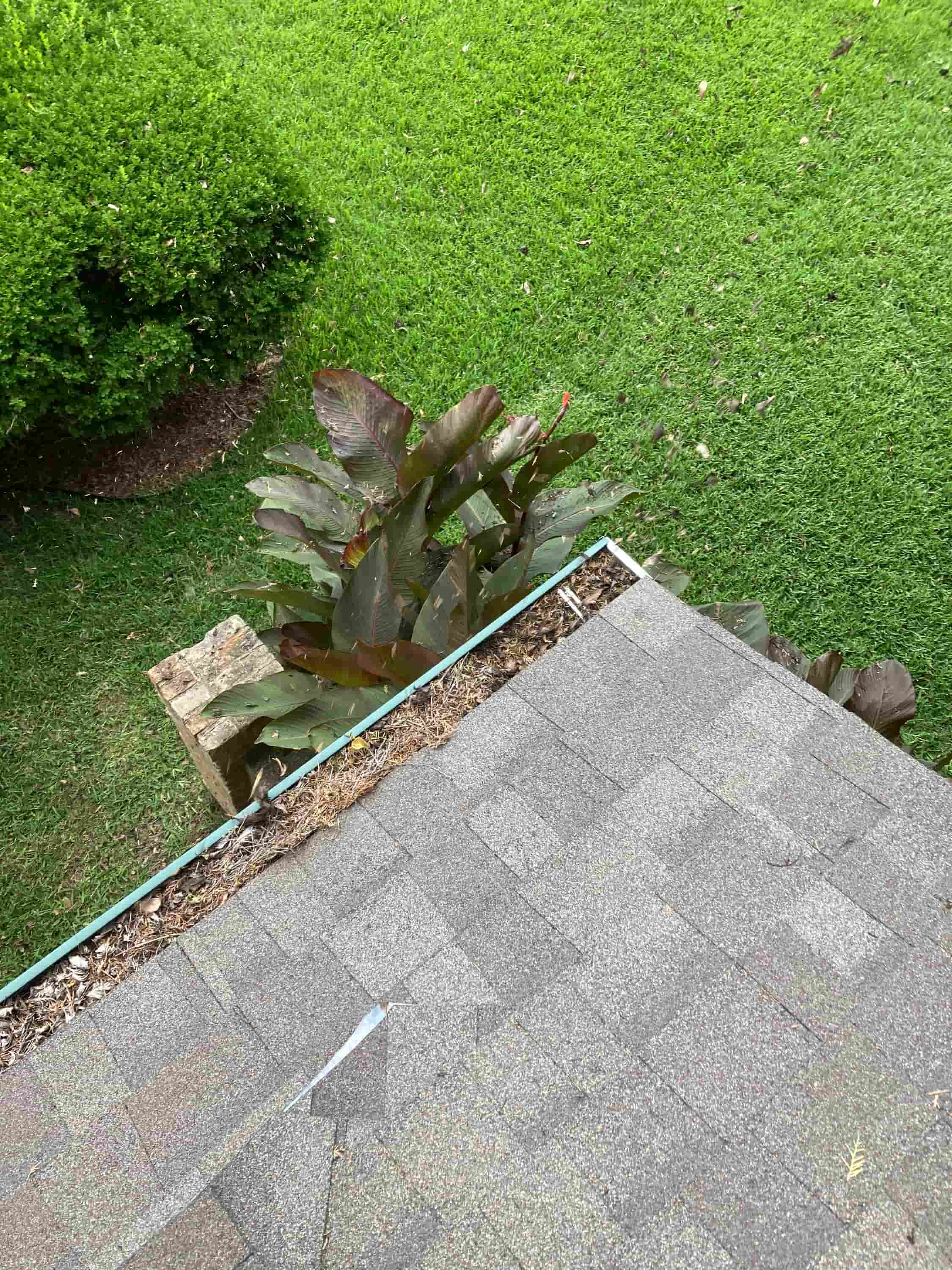 gutter cleaning specials near me