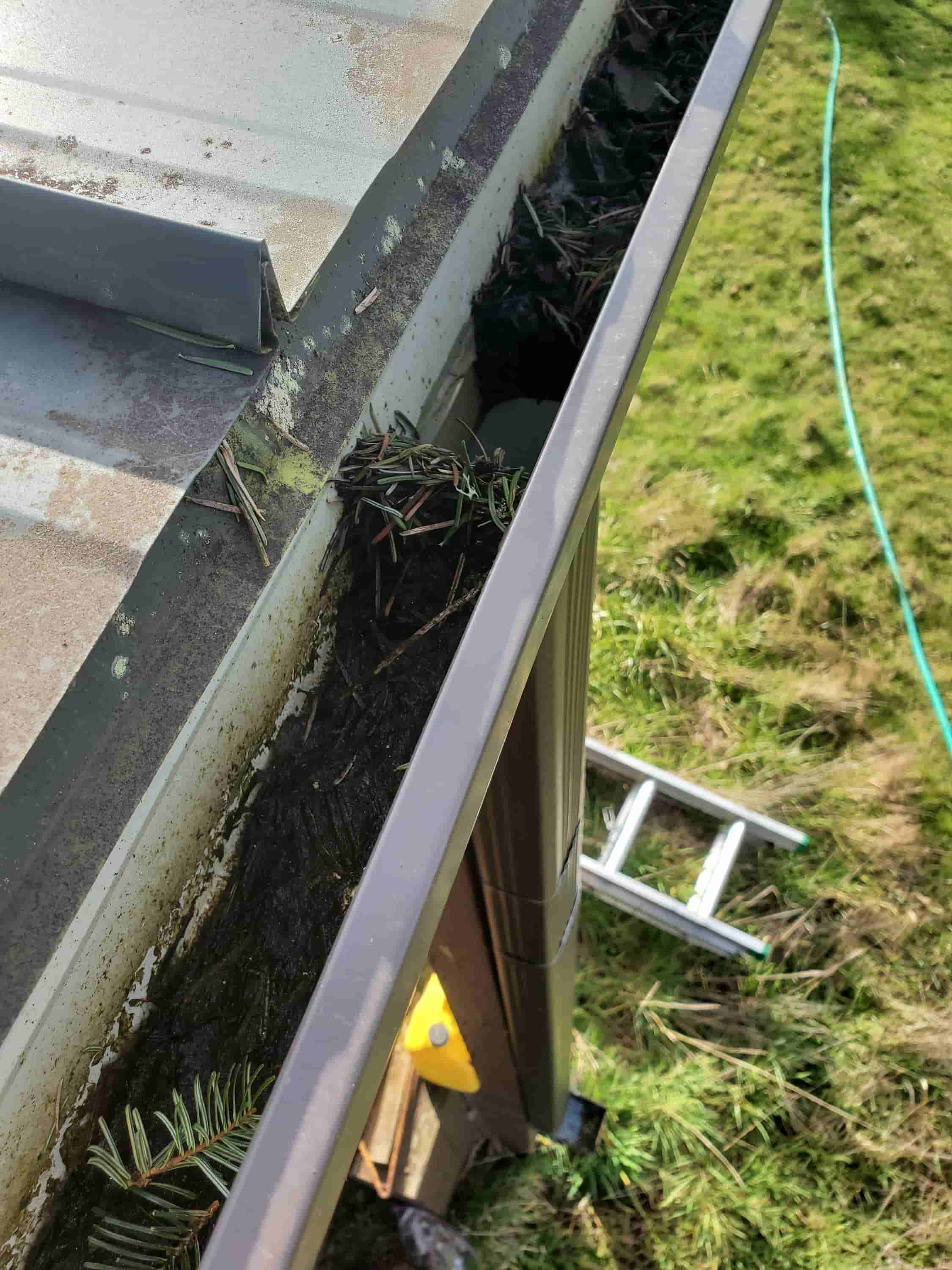 best way to clean plastic guttering