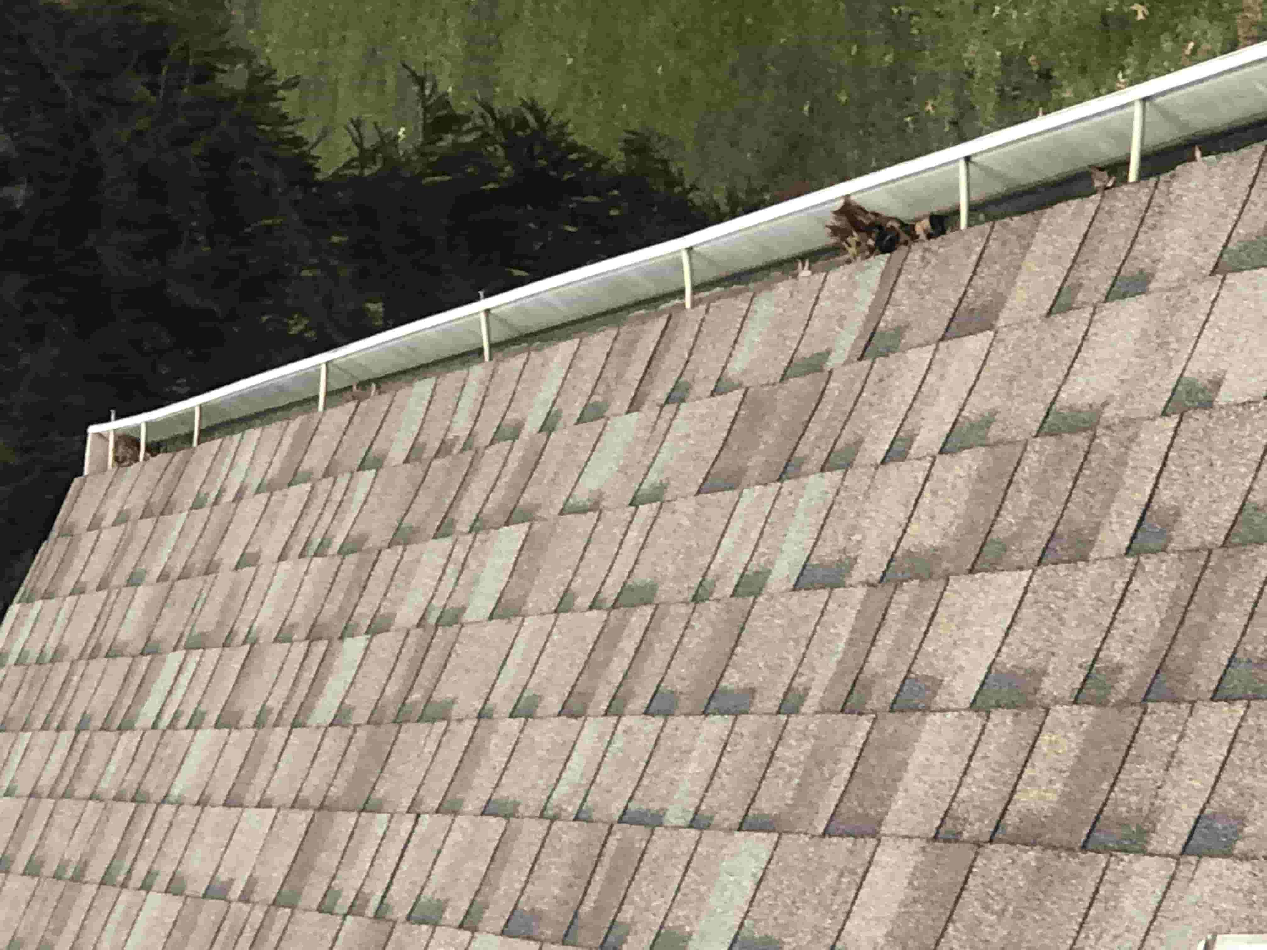 how to clear blocked gutters