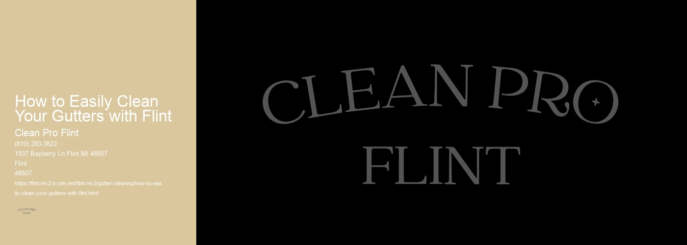 How to Easily Clean Your Gutters with Flint