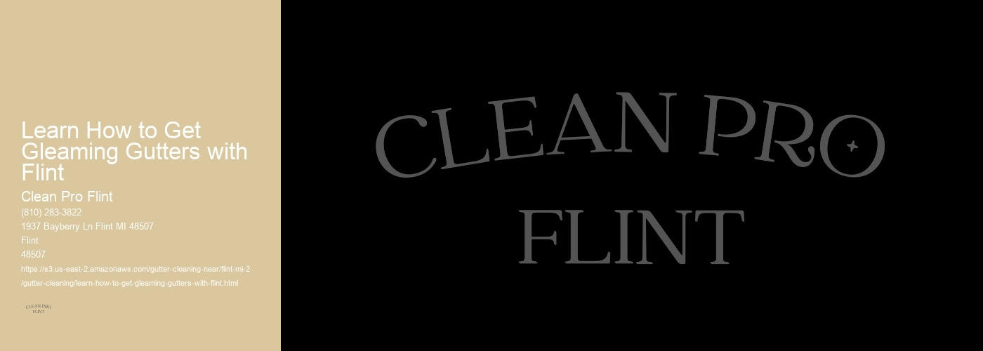Learn How to Get Gleaming Gutters with Flint 