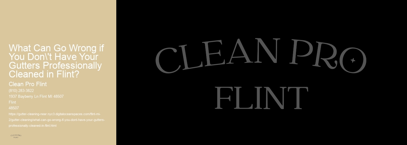 What Can Go Wrong if You Don't Have Your Gutters Professionally Cleaned in Flint? 