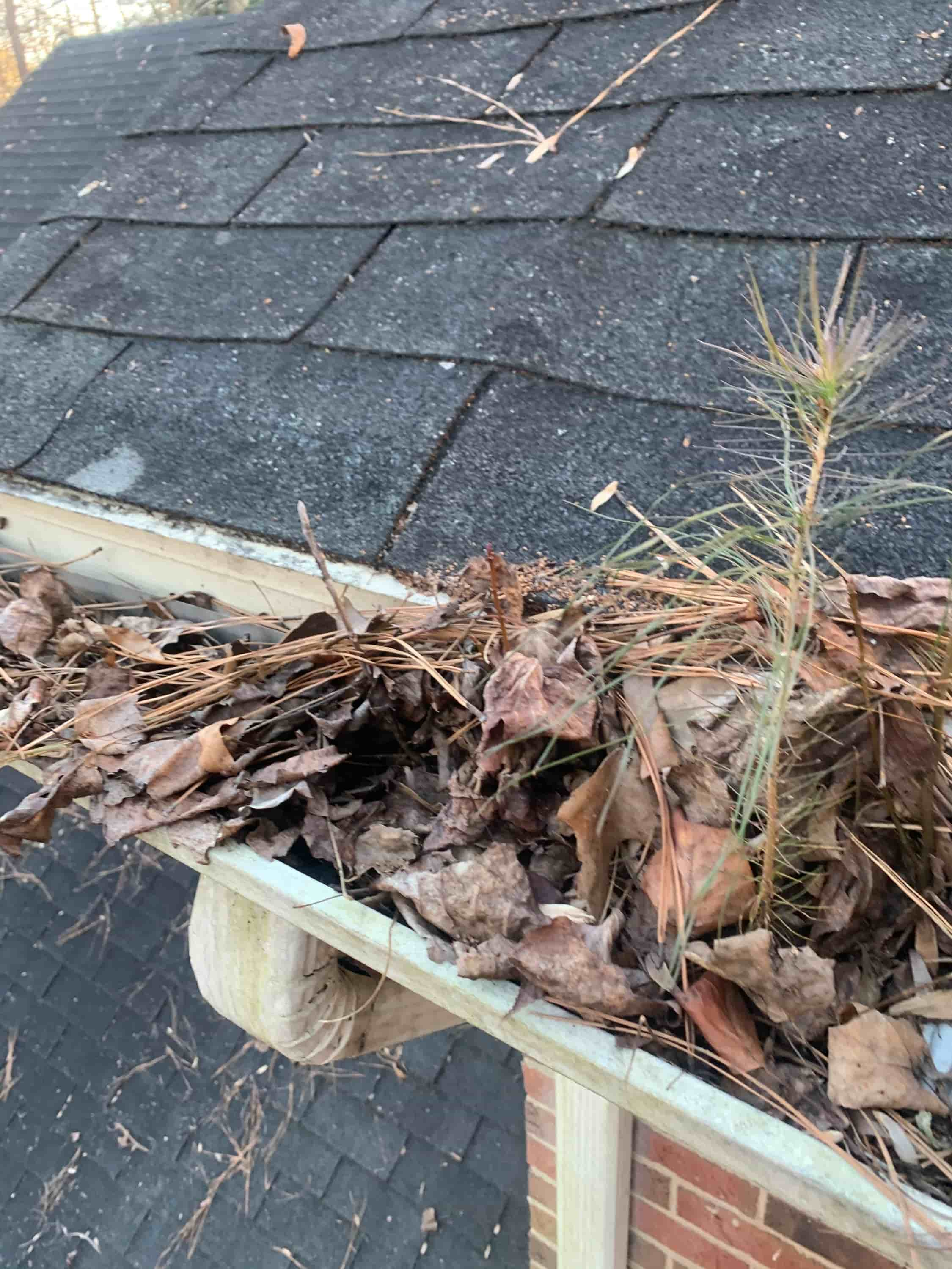 how to clean covered gutters