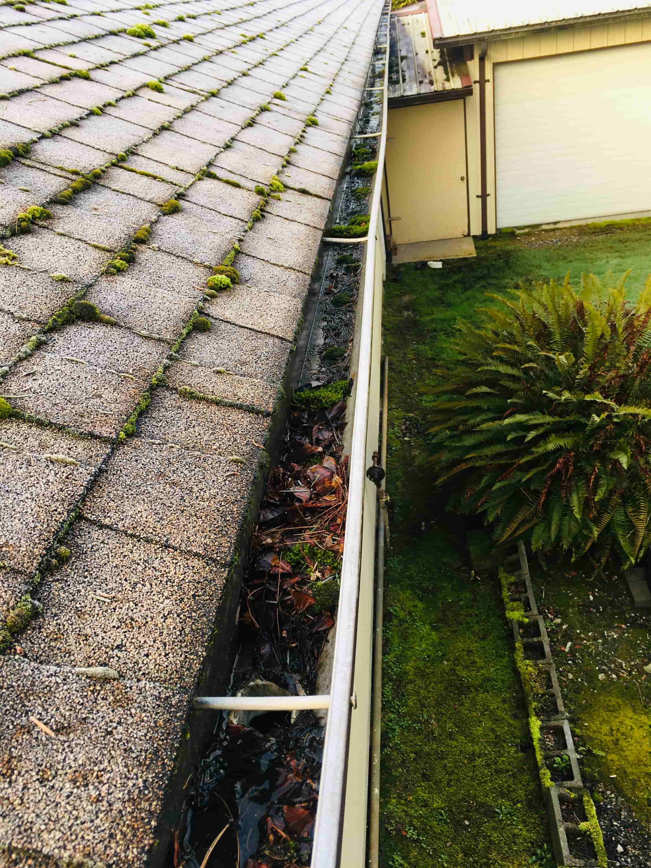 how to clean rain gutters