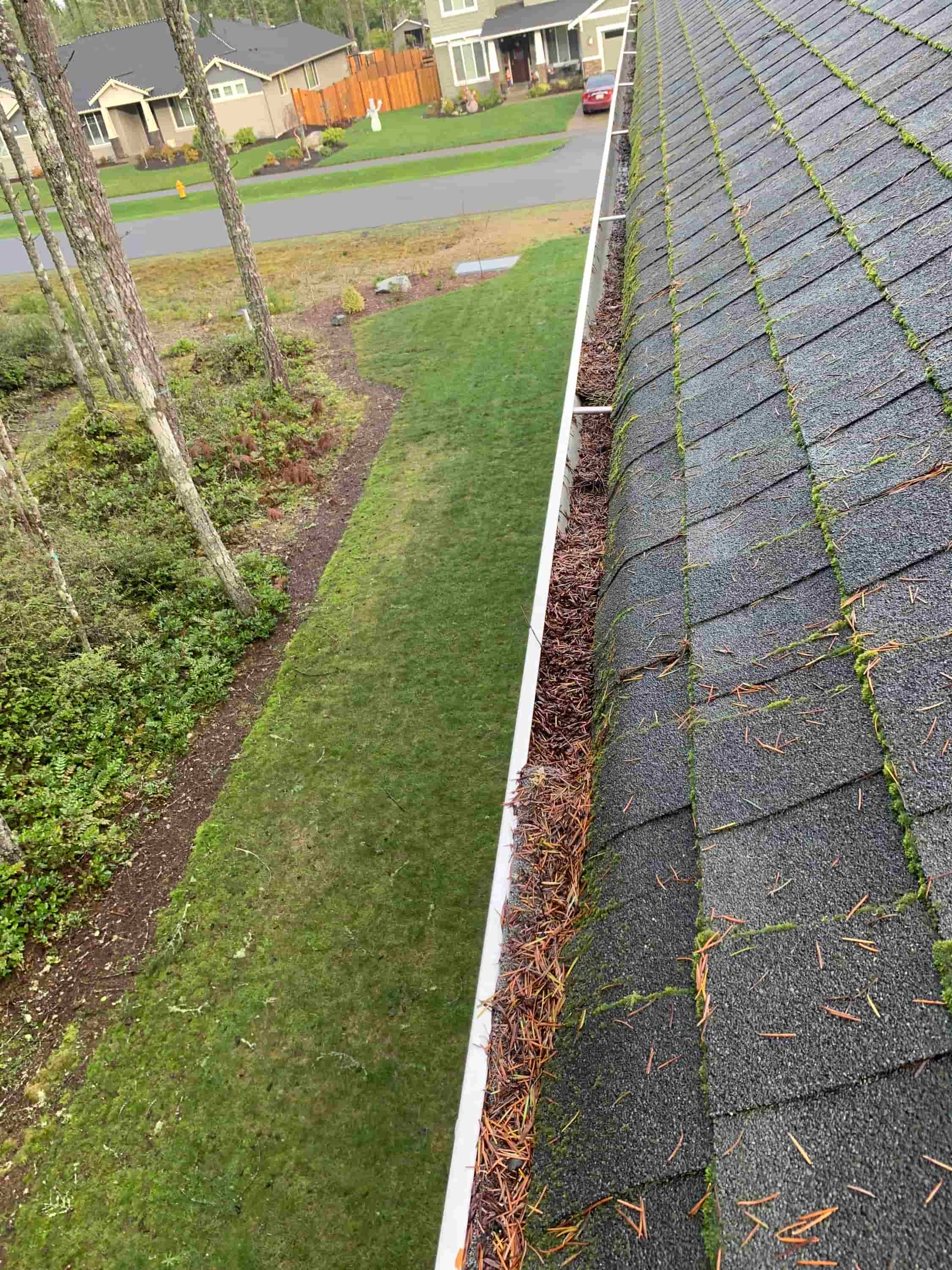 roof and gutter cleaning near me