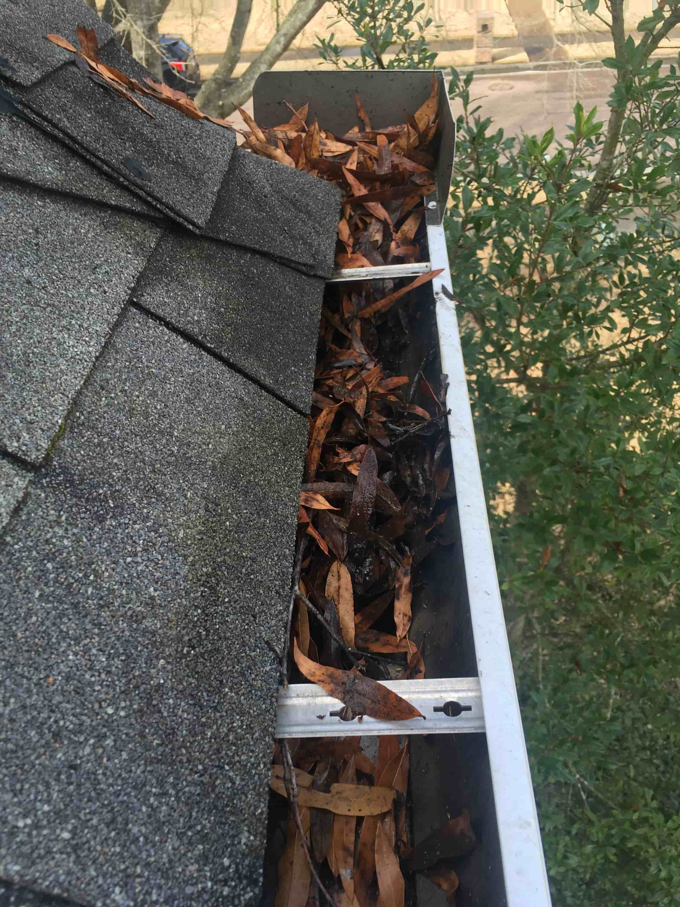 roof & gutter cleaning