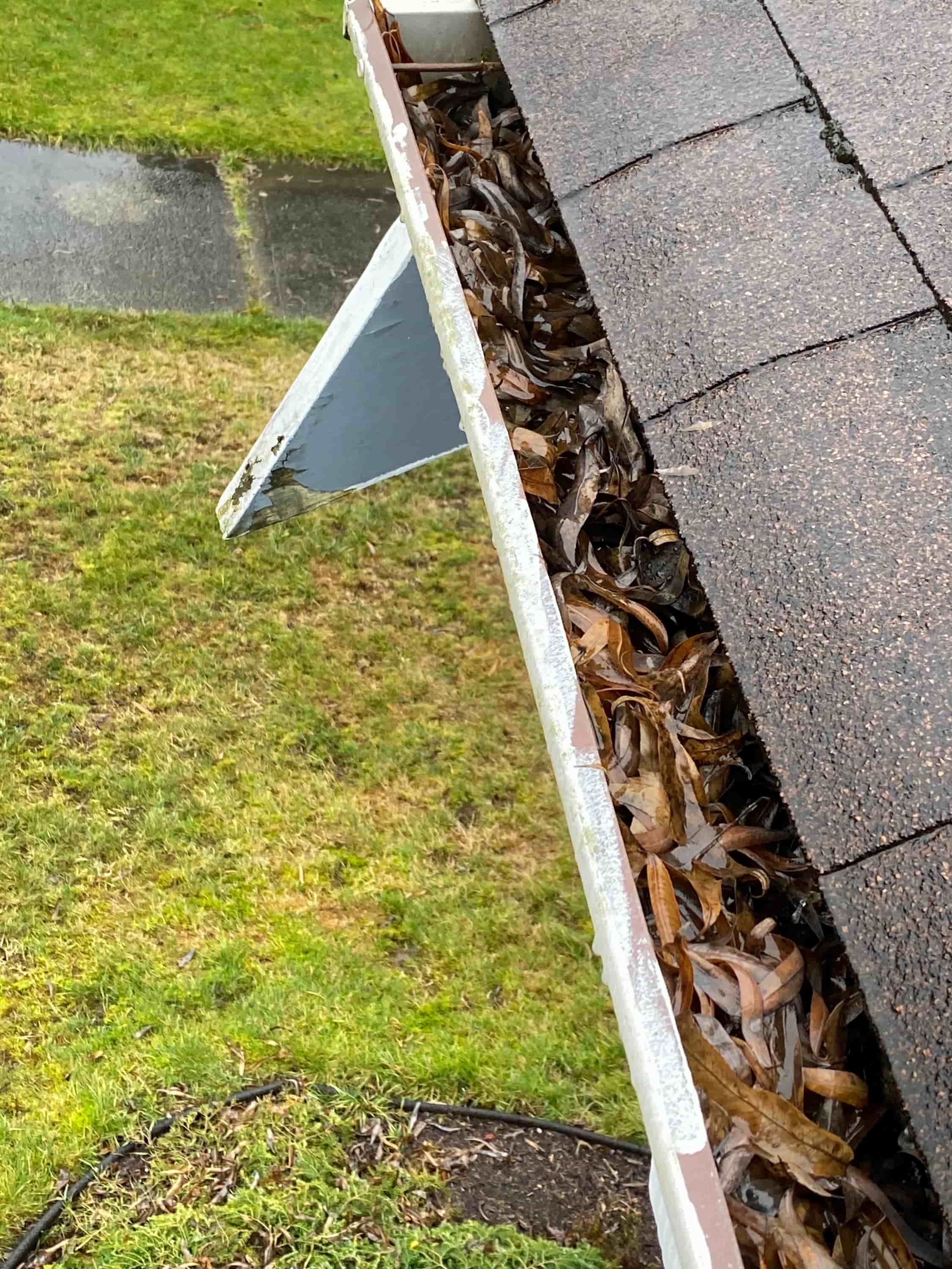 cleaning your gutters