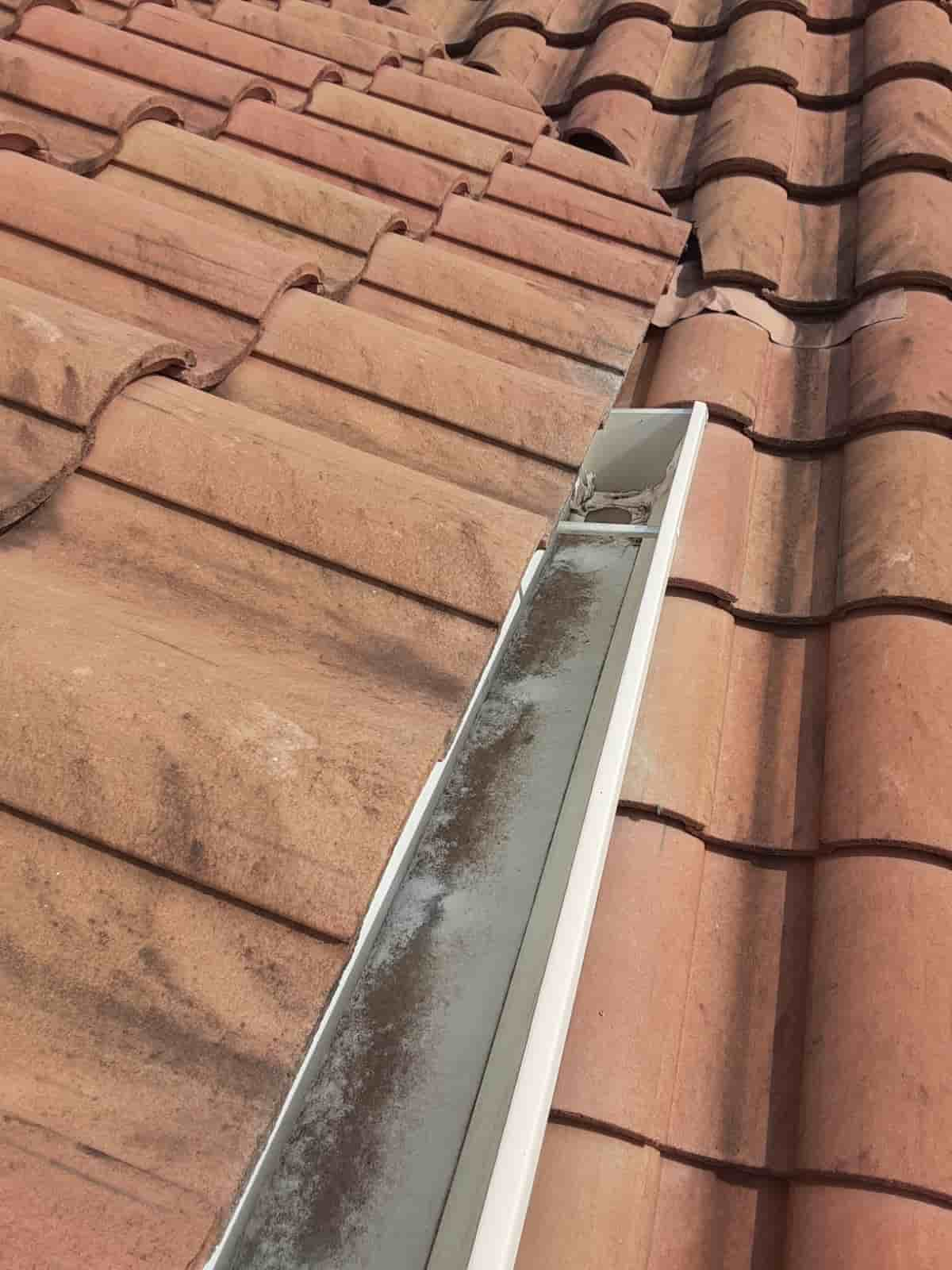 guttering cleaning services