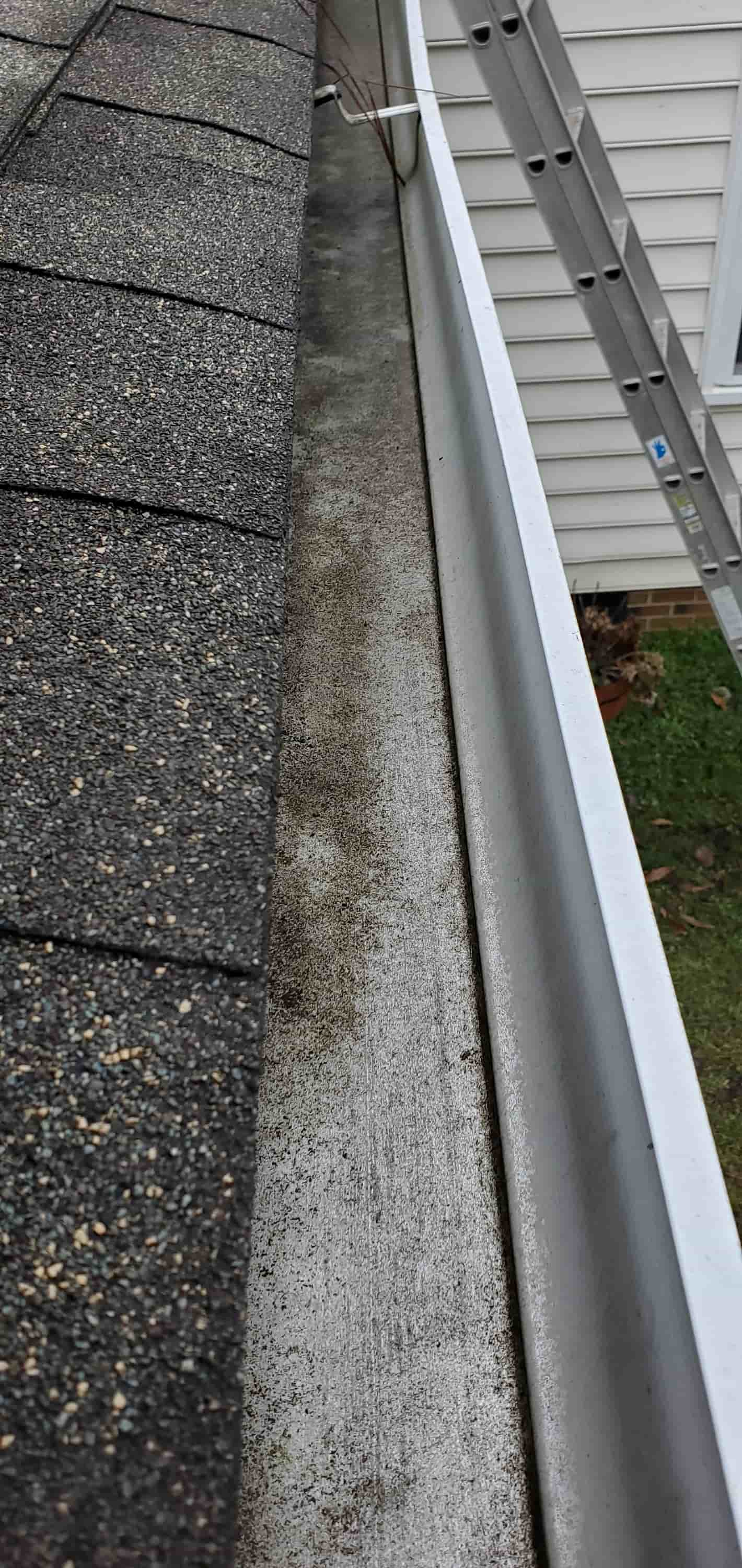 gutter cleaning and maintenance