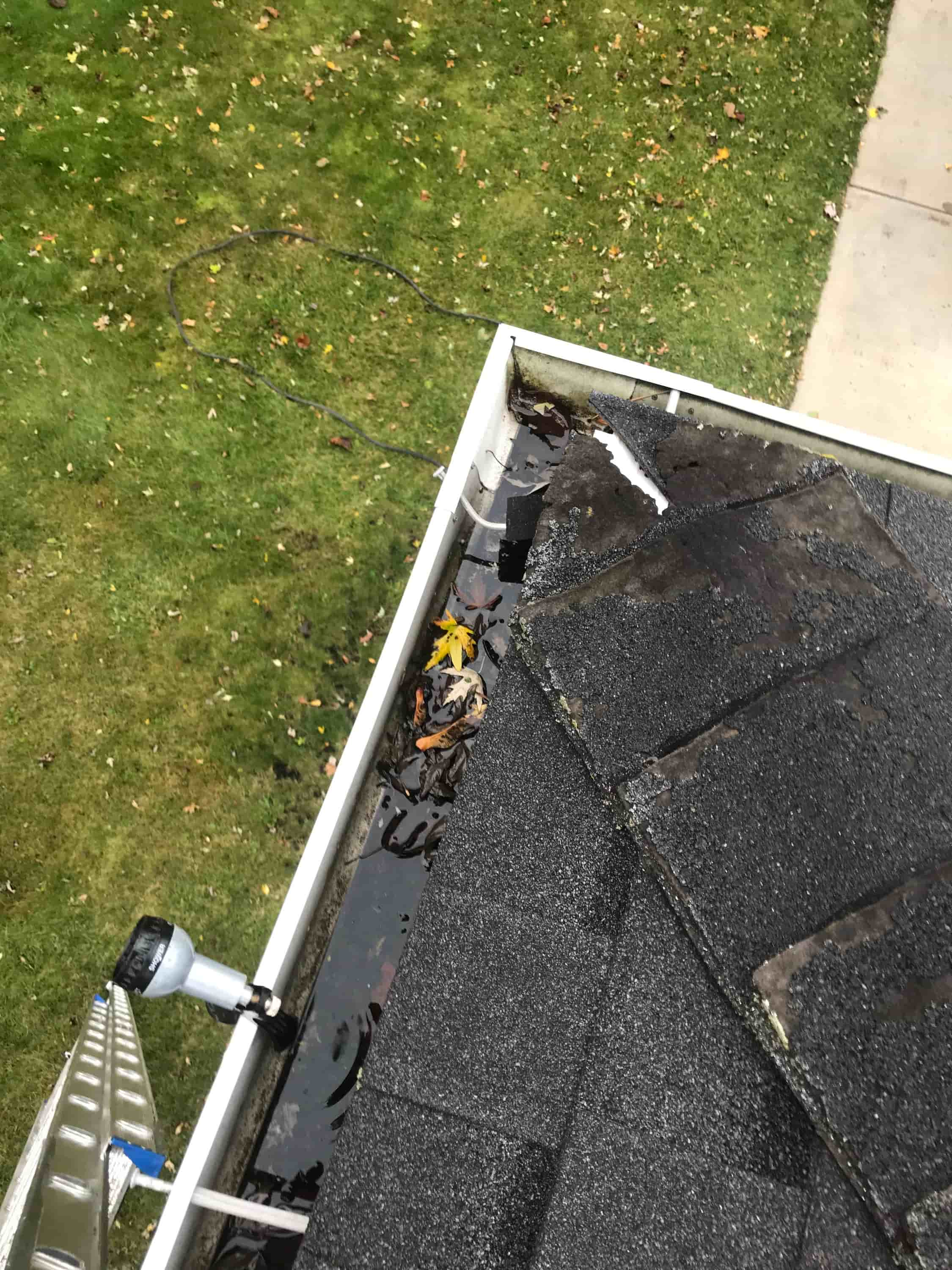 leaves in gutters problems