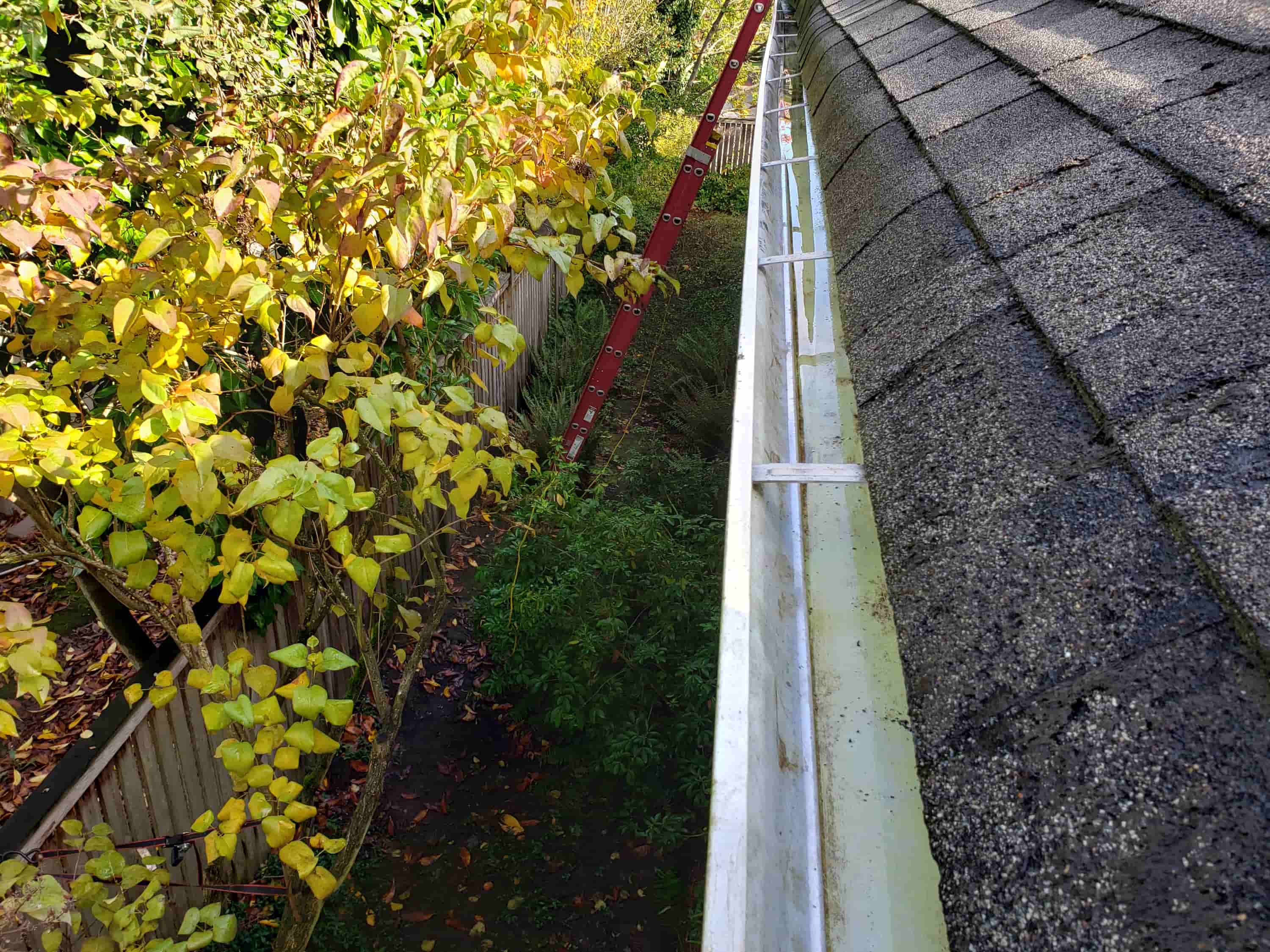 clean gutters and downspouts